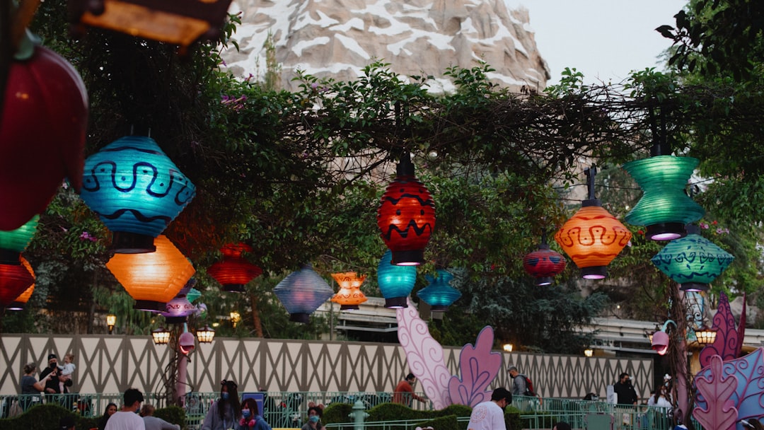 a number of paper lanterns hanging from a tree,