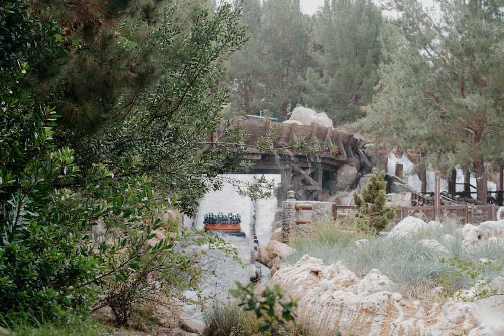 a picture of a bridge in the woods