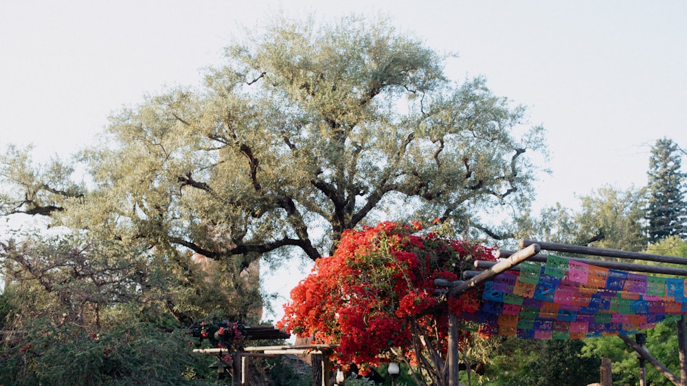 a tree that is next to a building