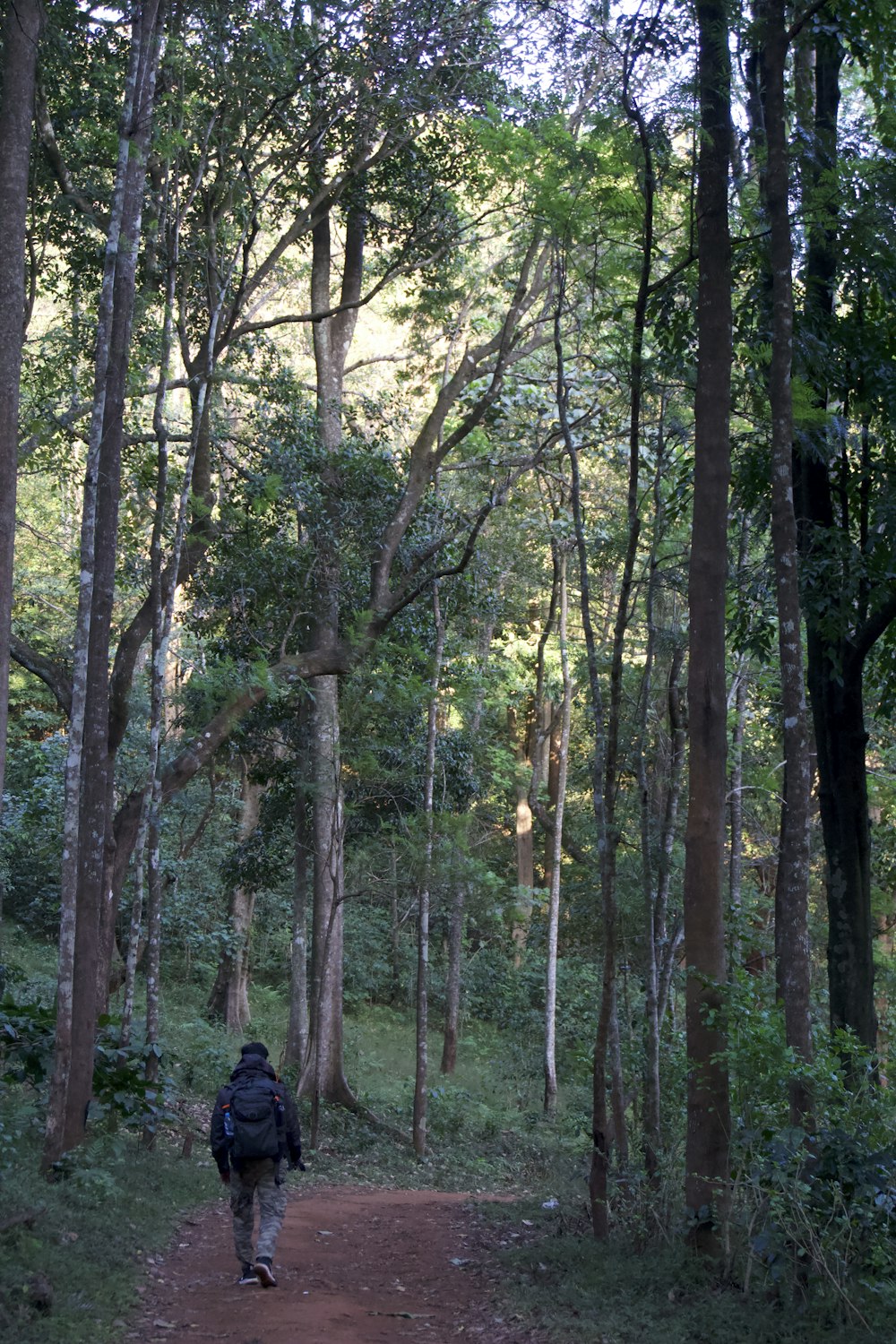 a man walking down a dirt road in the woods