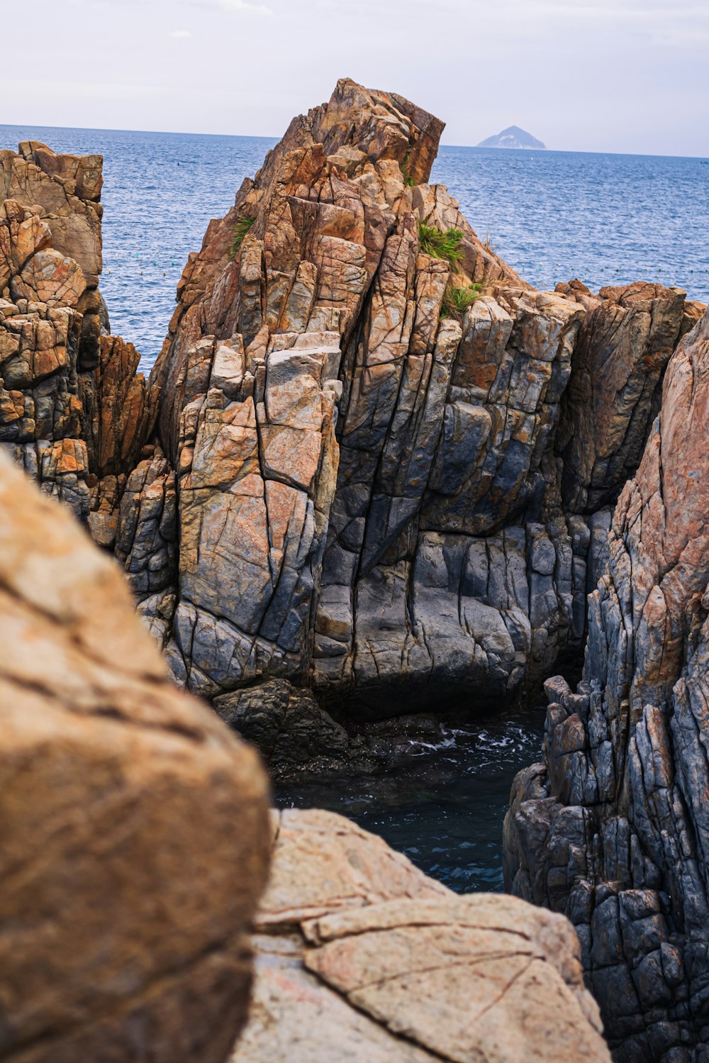 a bird sitting on top of a rock near the ocean