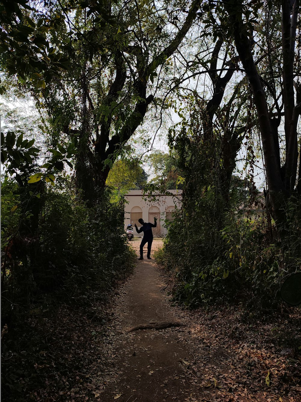 a person standing in the middle of a forest