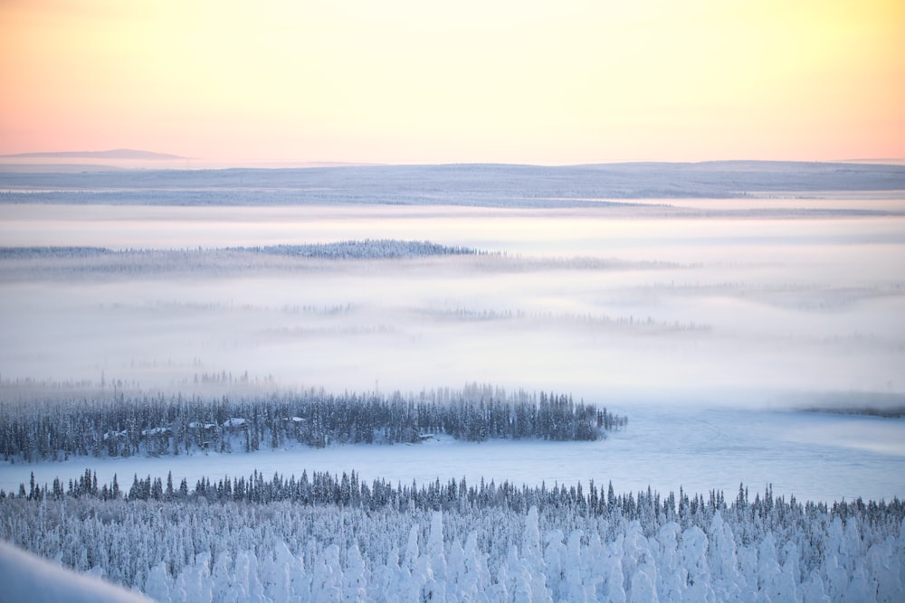 an aerial view of a snow covered forest