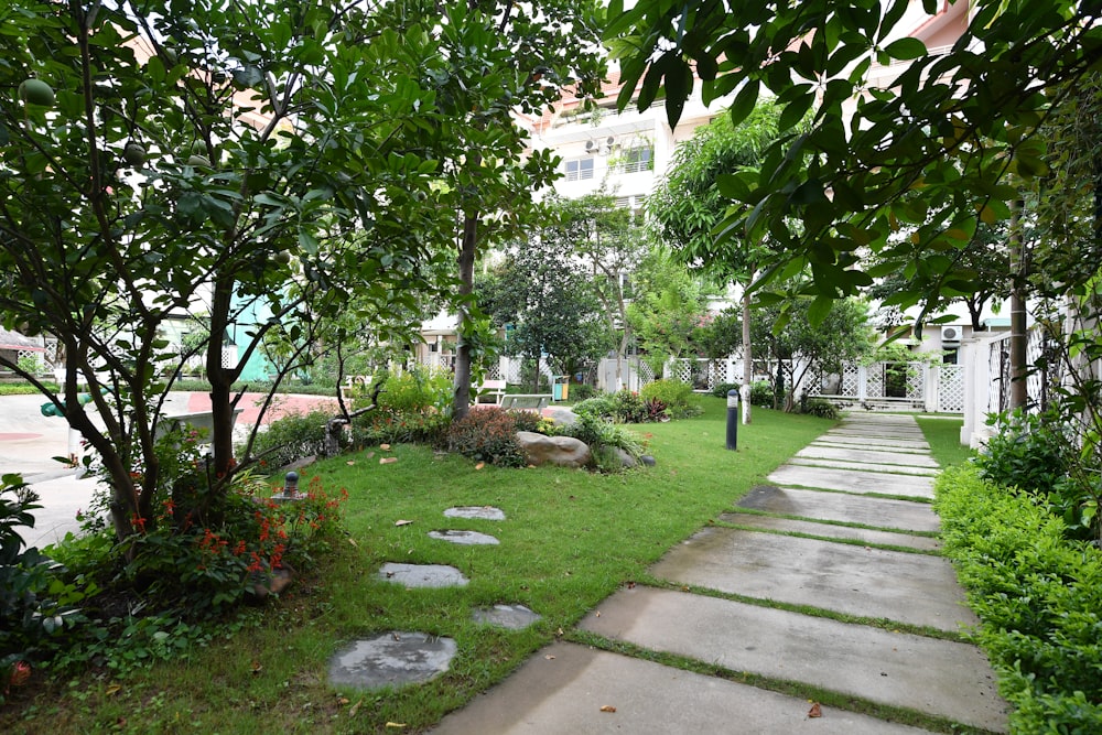 a garden with stepping stones and trees