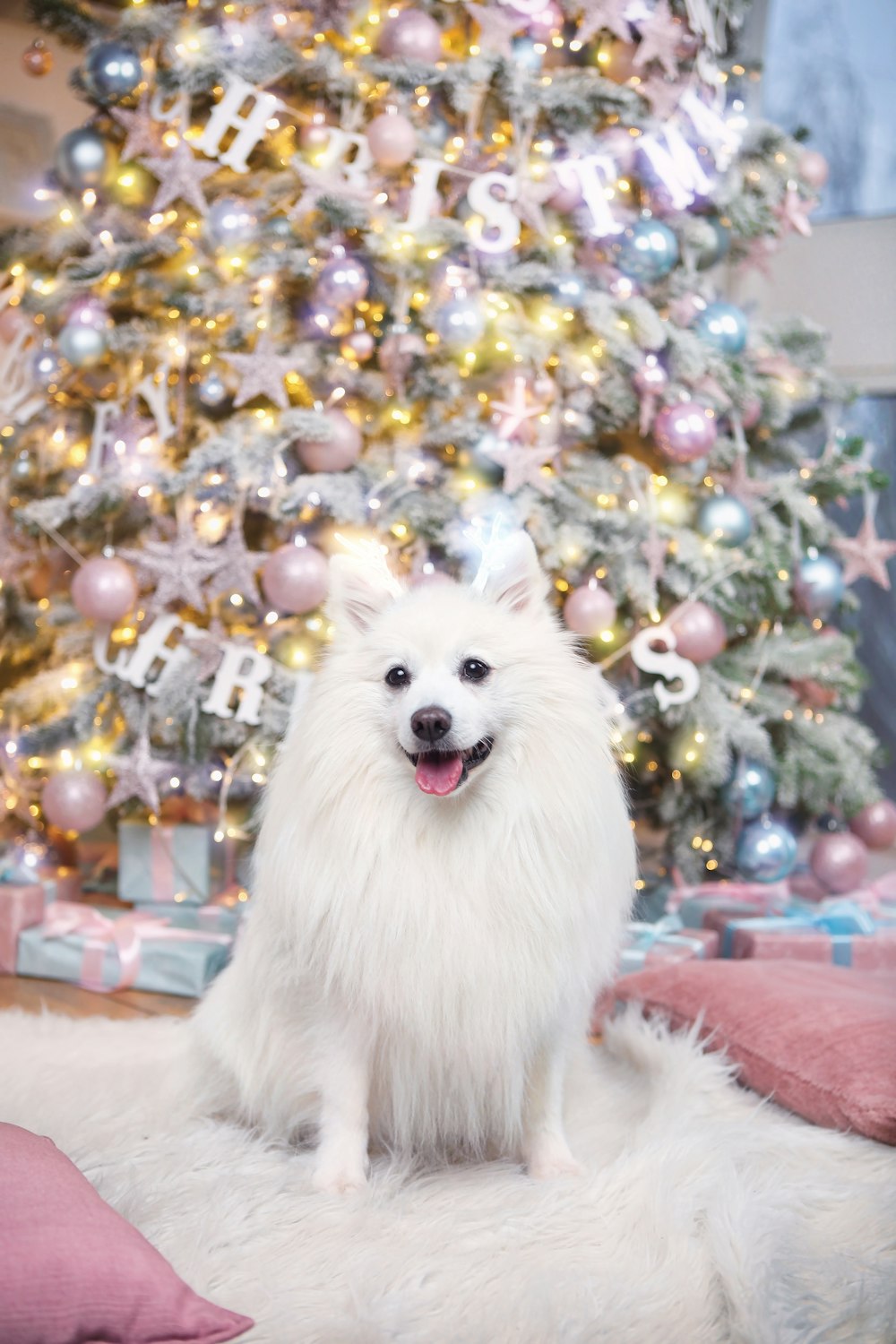 a white dog sitting in front of a christmas tree