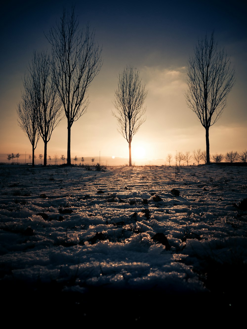 the sun is setting behind the trees in the snow