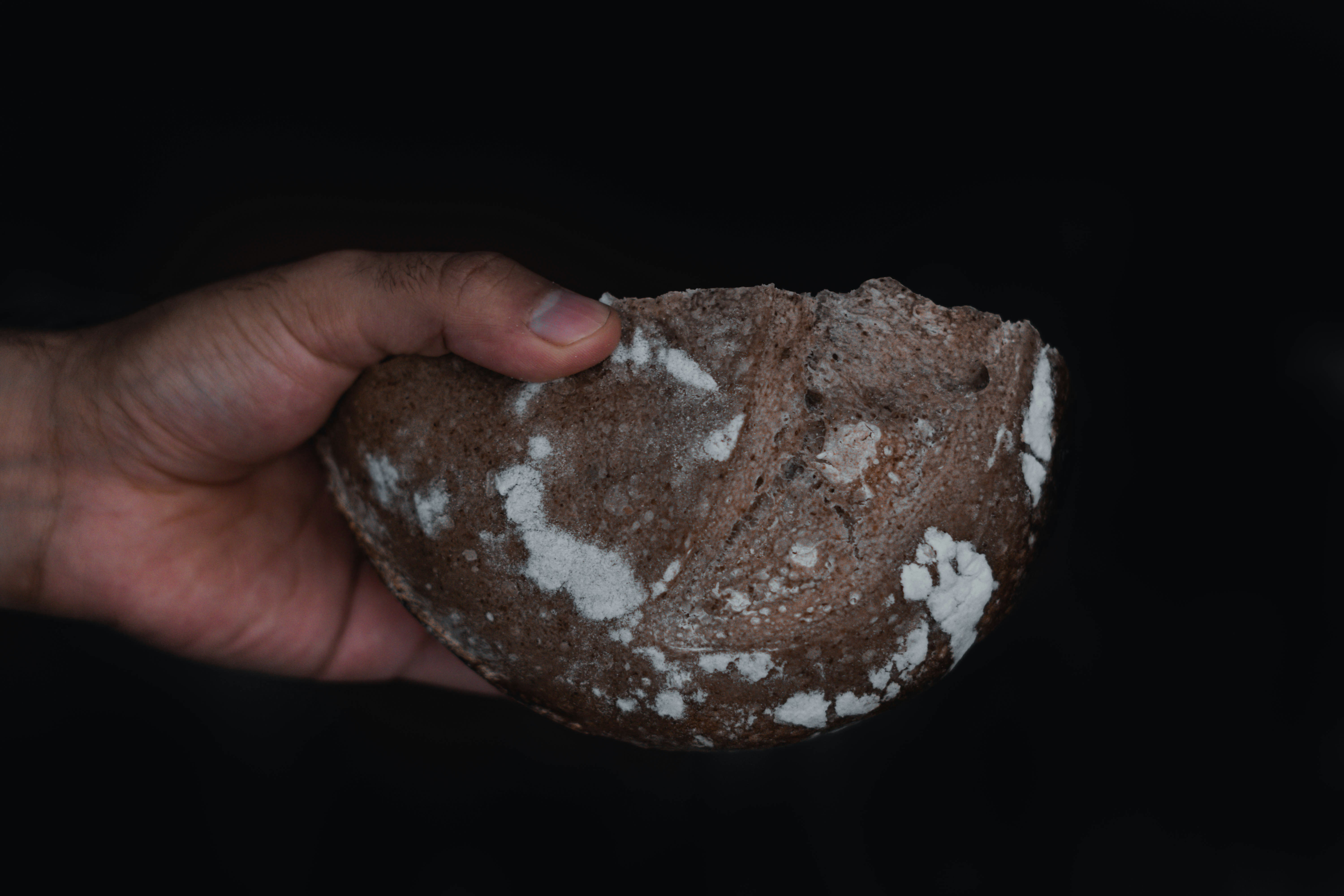 Photo by gustavo0351