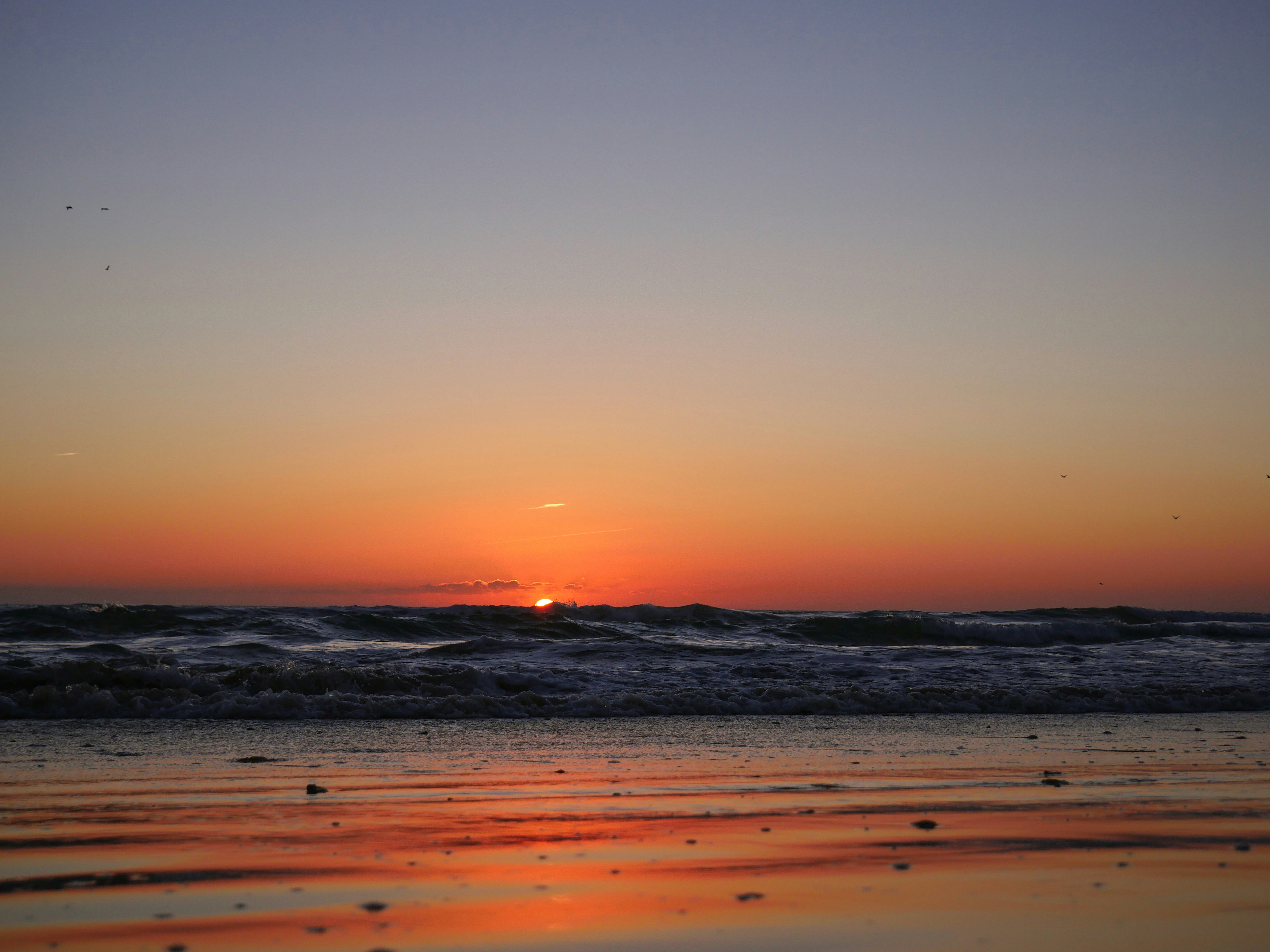 Photo by robertogamito