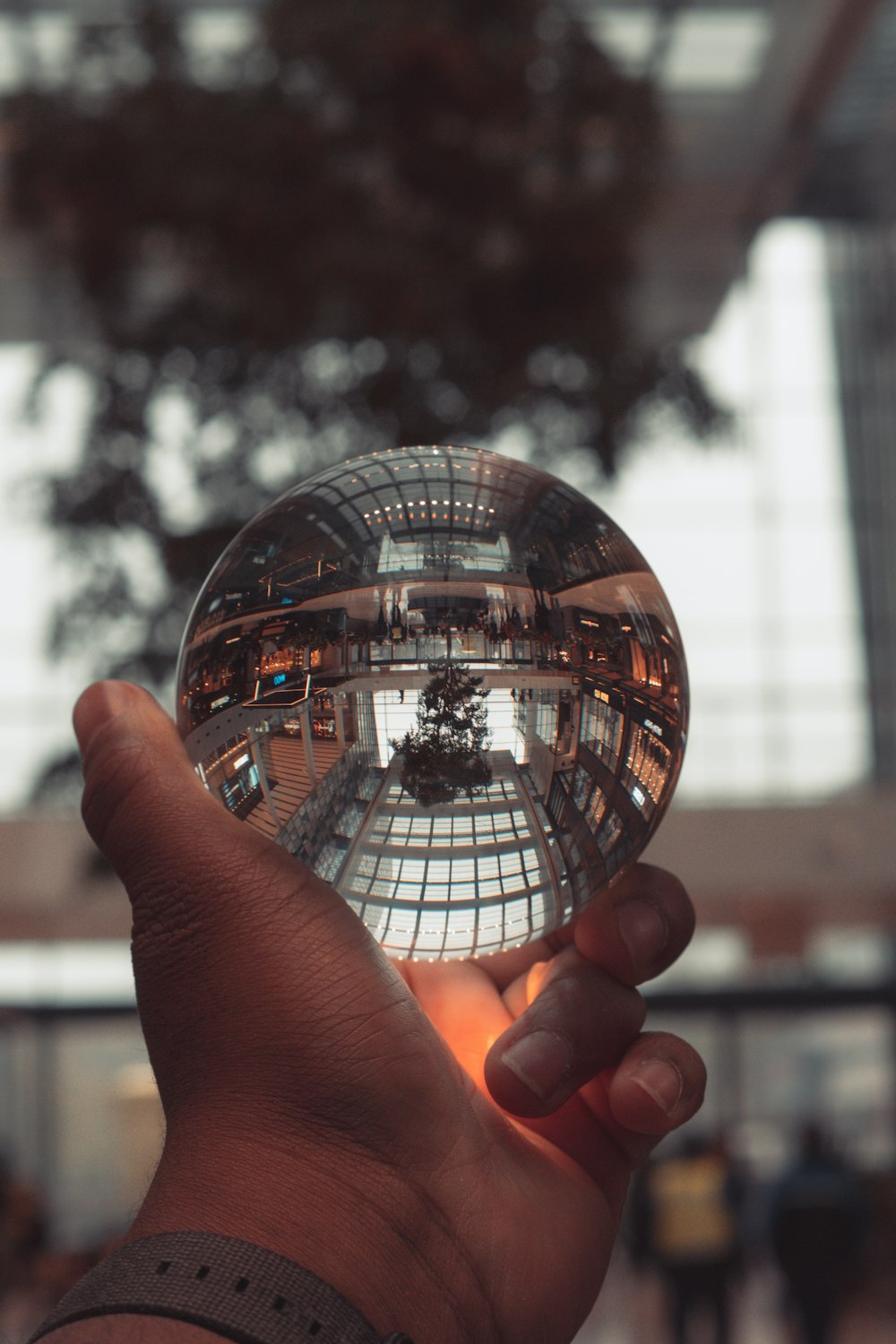 a person holding a glass ball in their hand