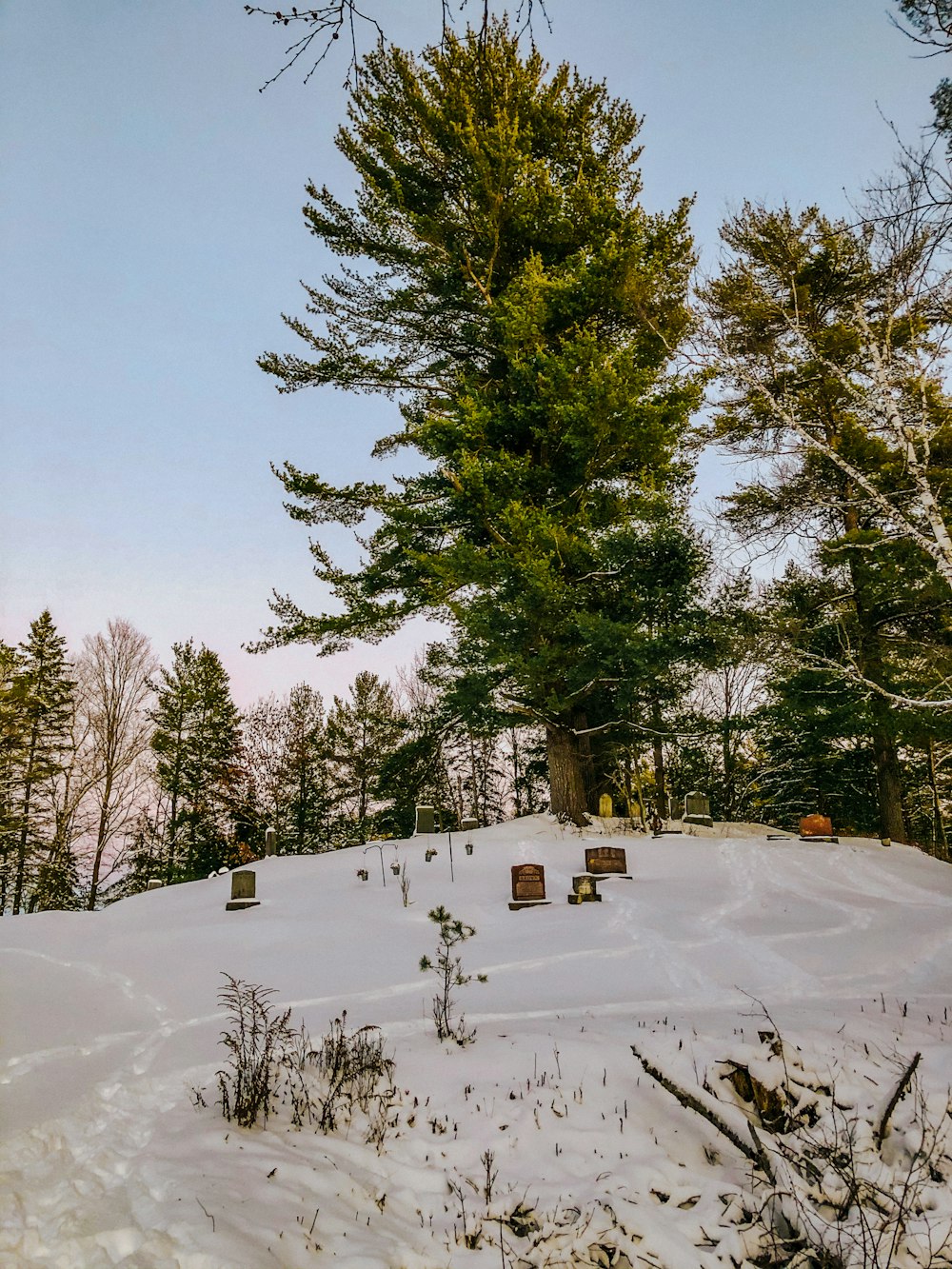 a group of benches sitting in the middle of a snow covered field