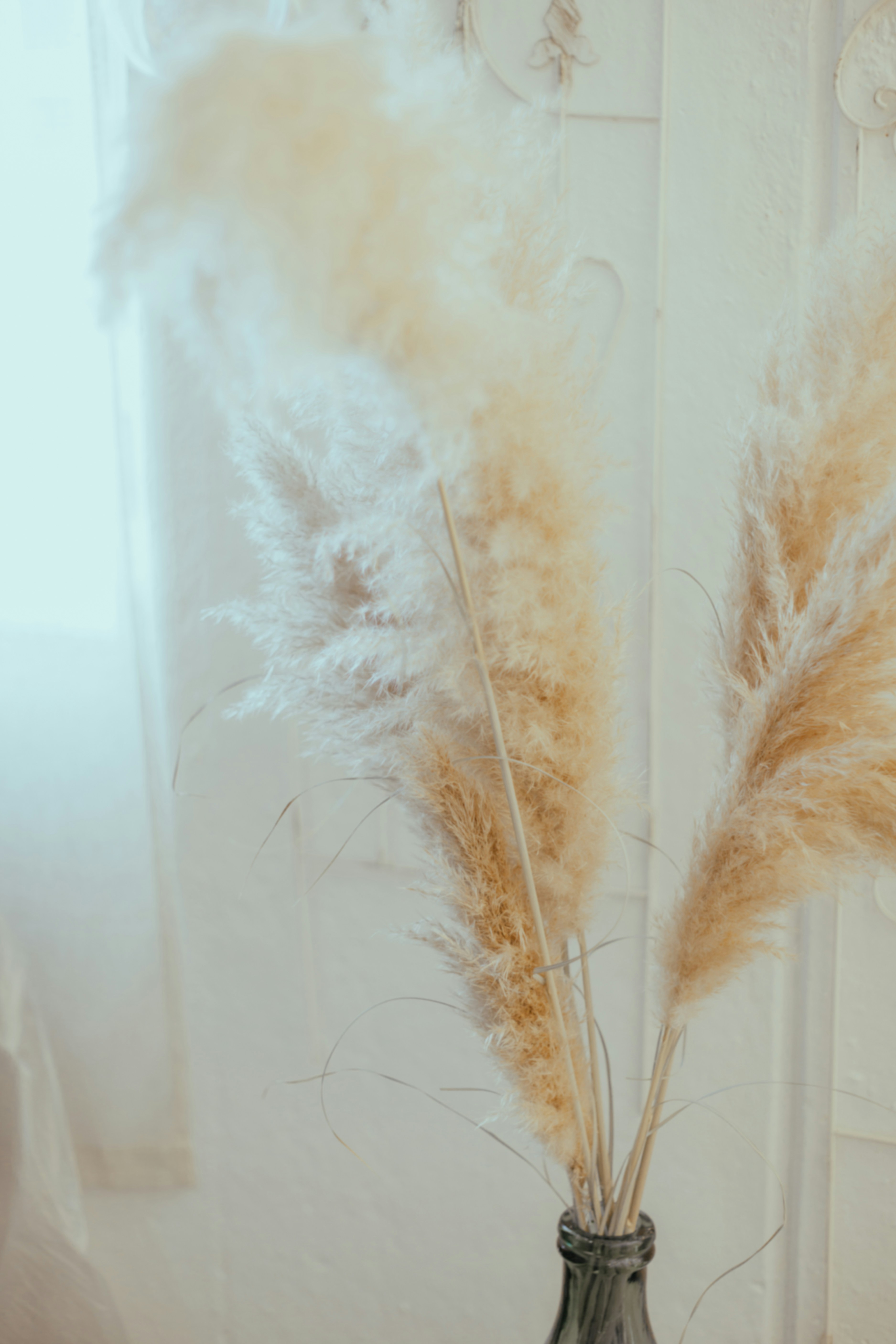 Photo by i_am_simoesse