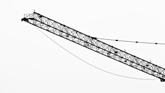 a black and white photo of a power line