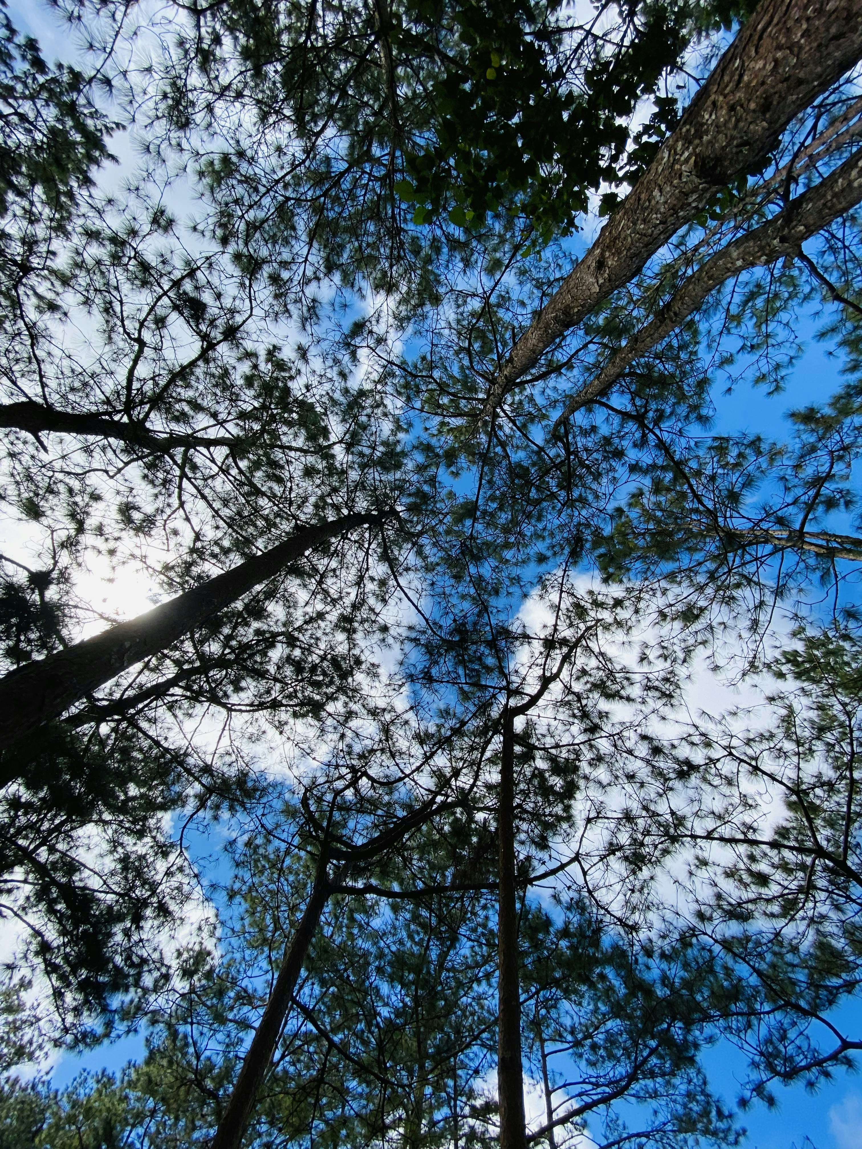 Photo by trantuannghia