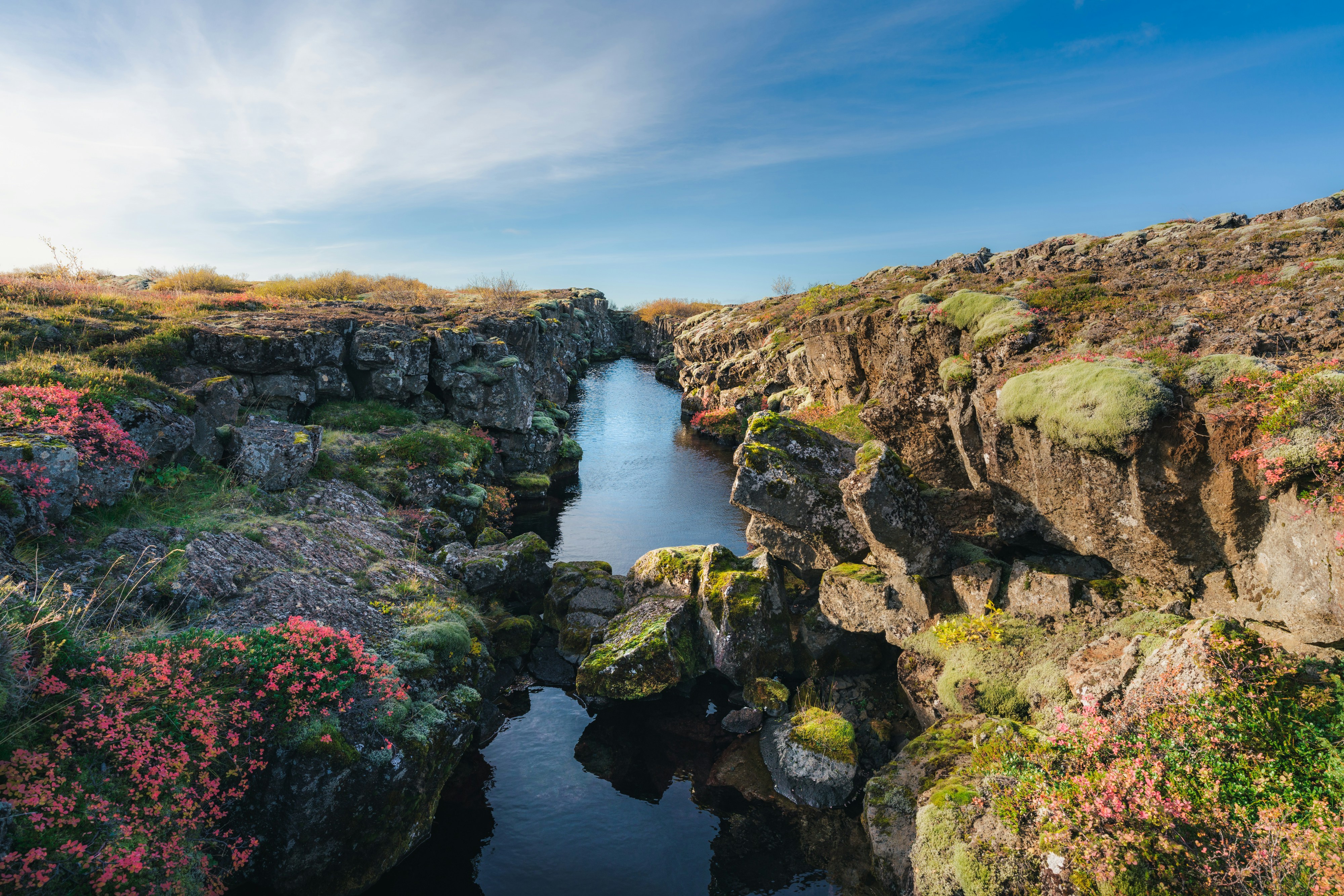 Photo by danielsessler