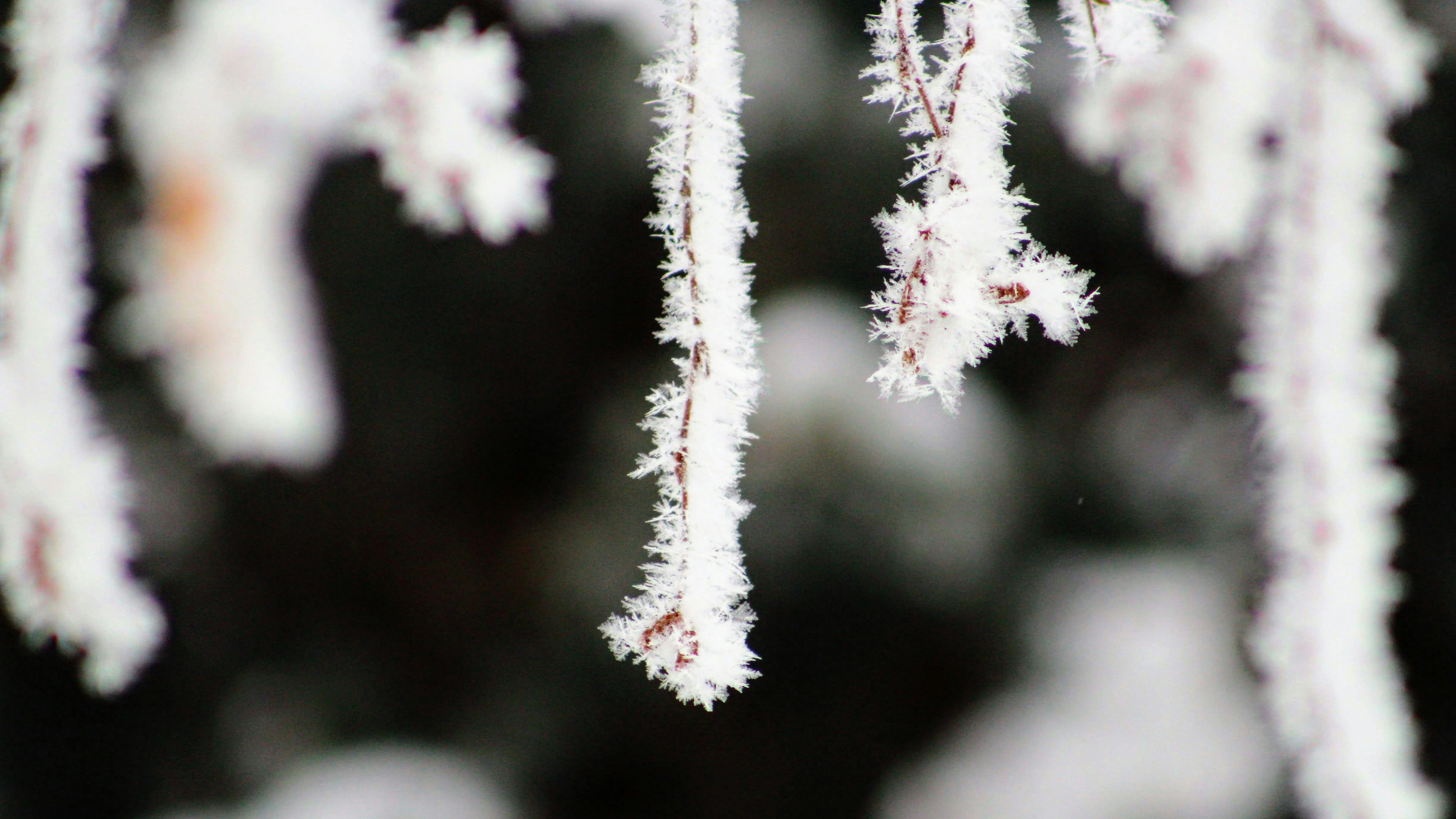 Photo by joshua_hoehne