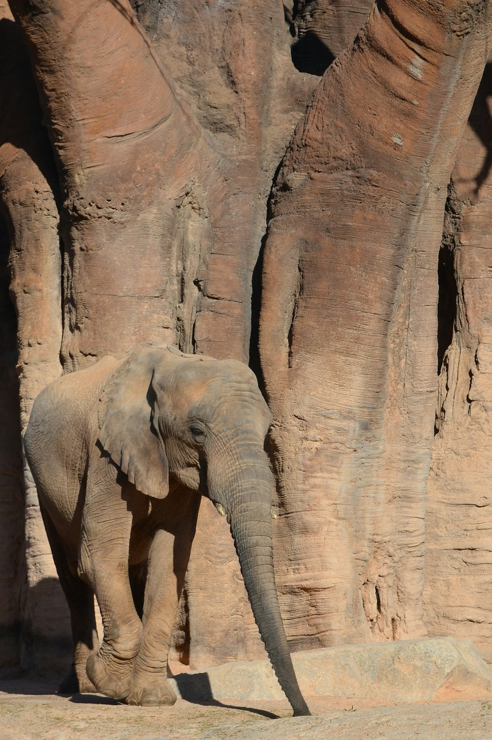 an elephant standing in front of a rock formation