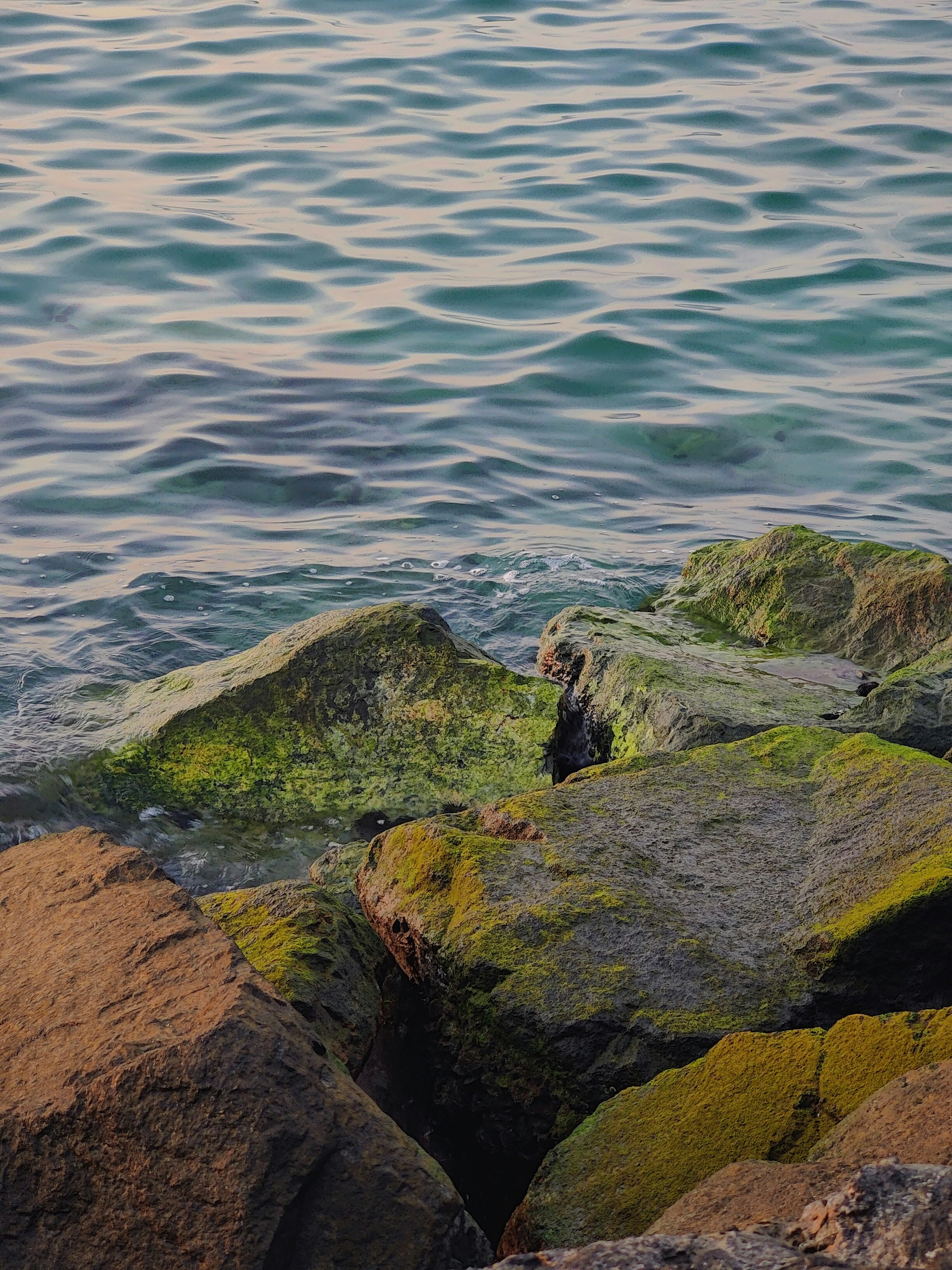 Photo by aestheticallyamna