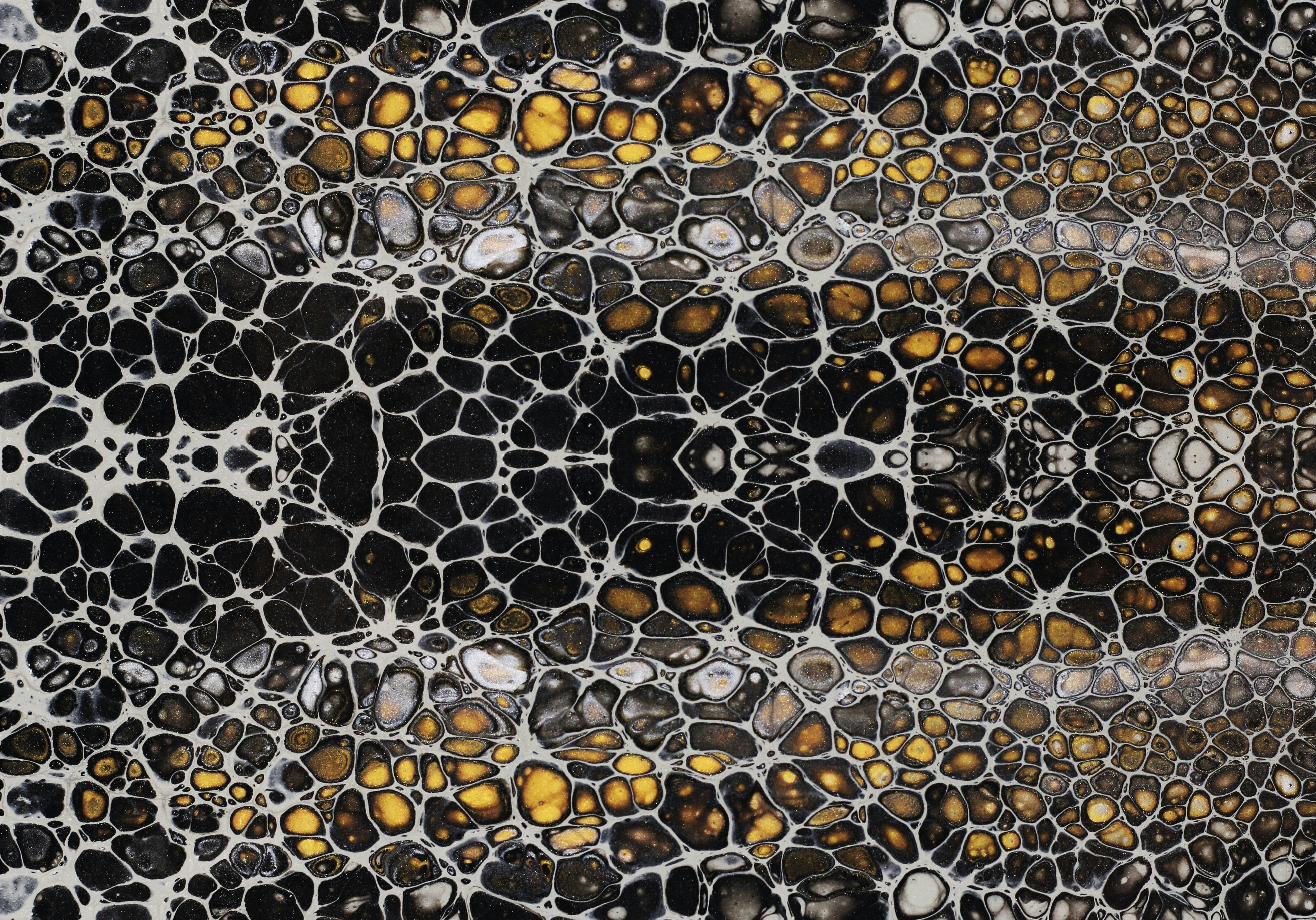 Photo by susan_wilkinson