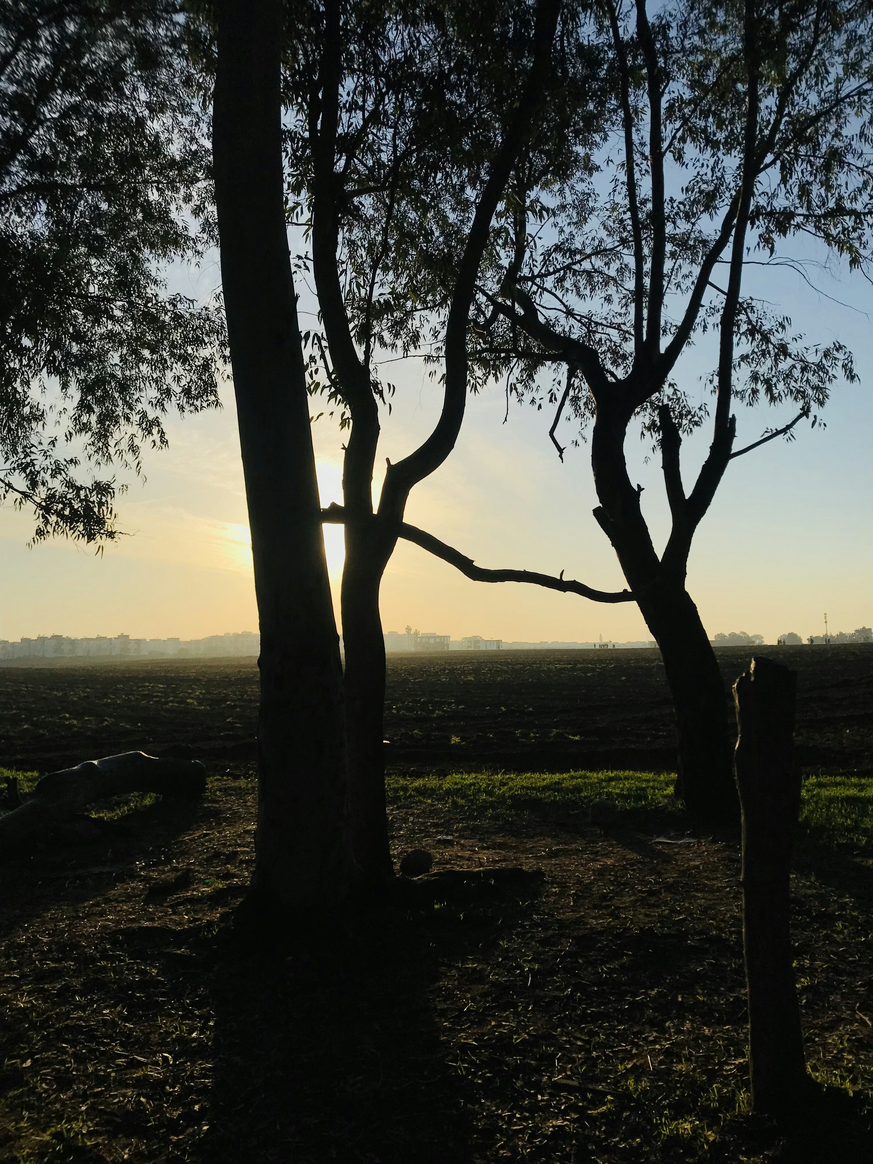 med bnb (@medbn) | Unsplash Photo Community