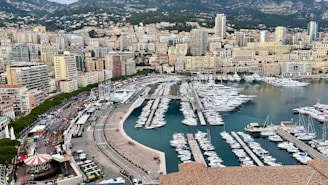 a harbor filled with lots of boats next to a city