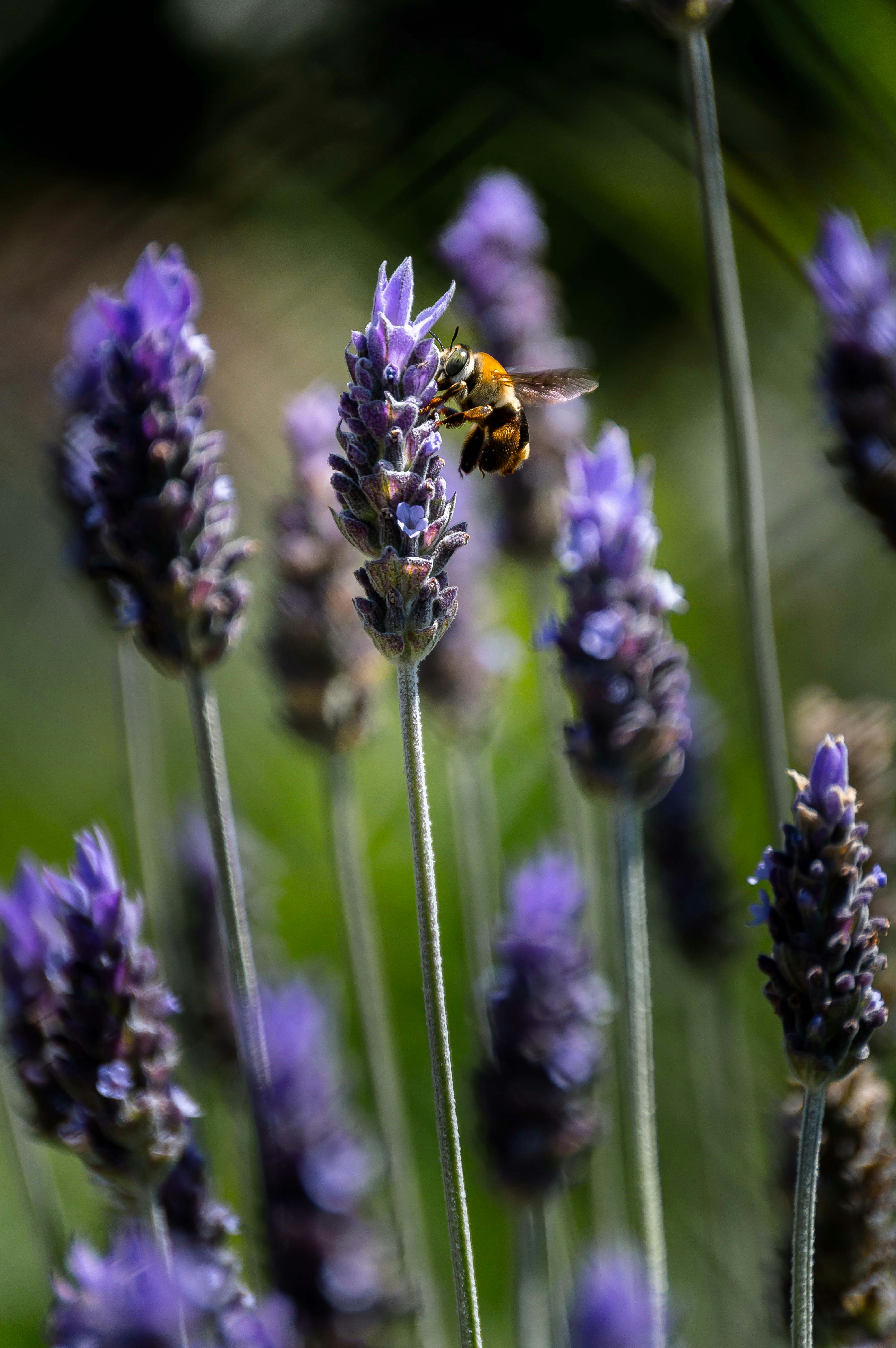 Photo by gabrielcattaruzzi