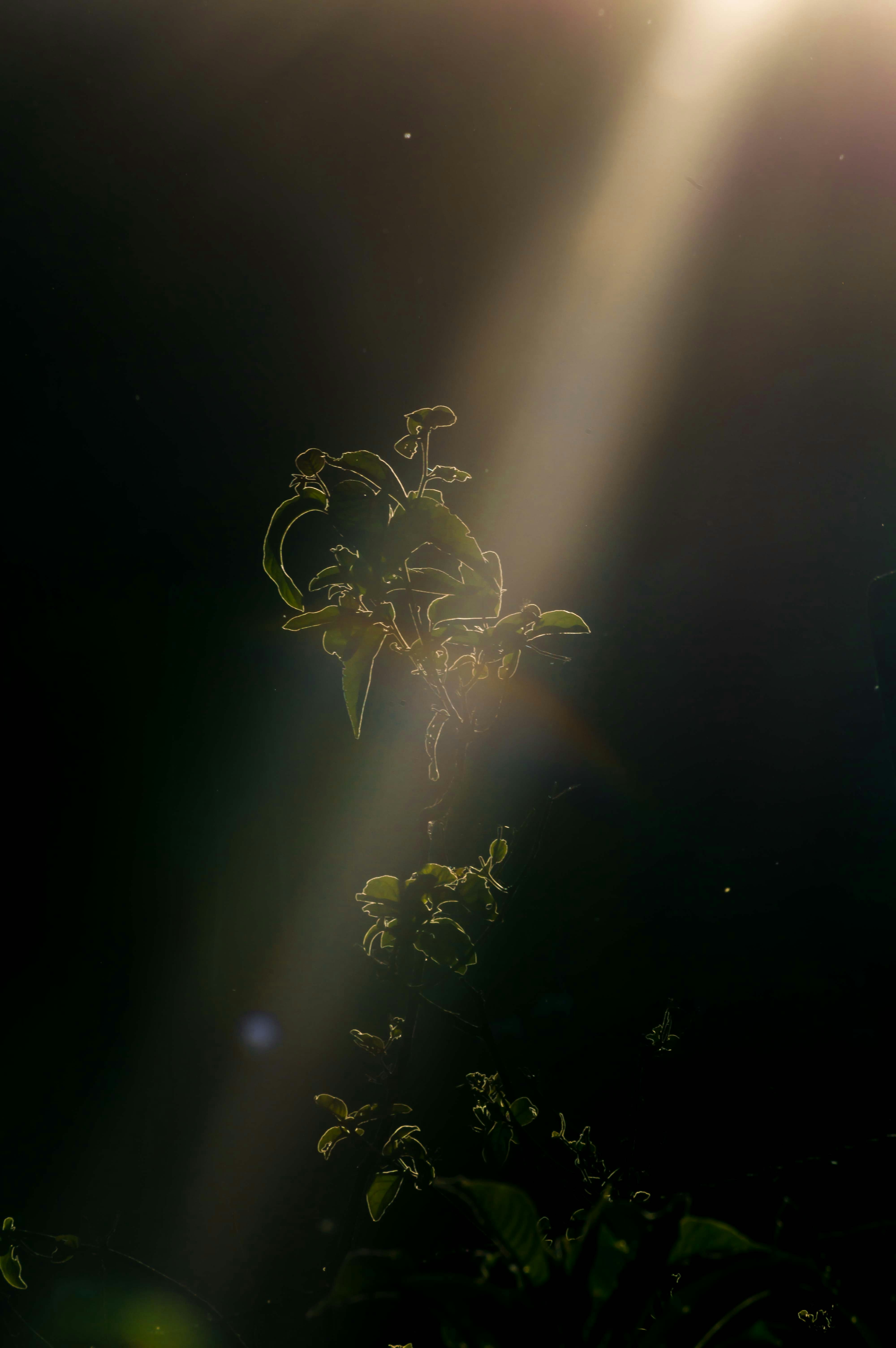 Photo by gabrielcattaruzzi