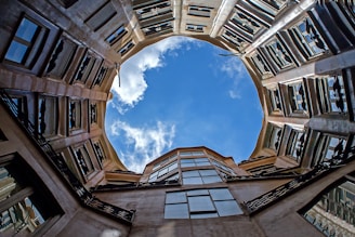 looking up at the sky through a circular window