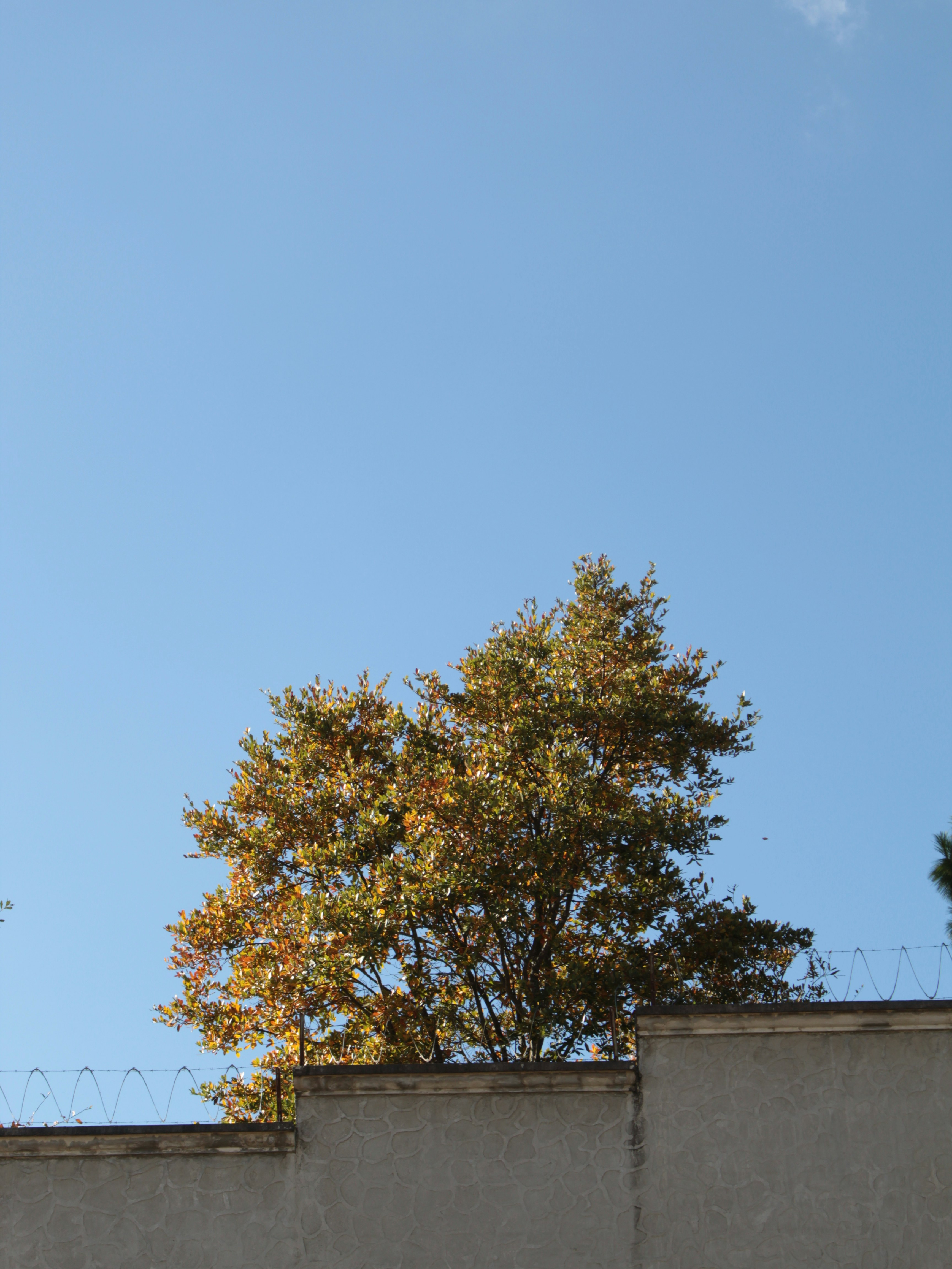 Photo by nathalie_annes