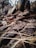 The image captures a close-up view of a textured, rough tree bark with an intricate play of light and shadow. Dried pine needles and a brown leaf are scattered across the surface, adding a natural, rugged feel to the scene. The background blurs out, focusing attention on the detailed textures of the bark.