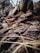 The image captures a close-up view of a textured, rough tree bark with an intricate play of light and shadow. Dried pine needles and a brown leaf are scattered across the surface, adding a natural, rugged feel to the scene. The background blurs out, focusing attention on the detailed textures of the bark.