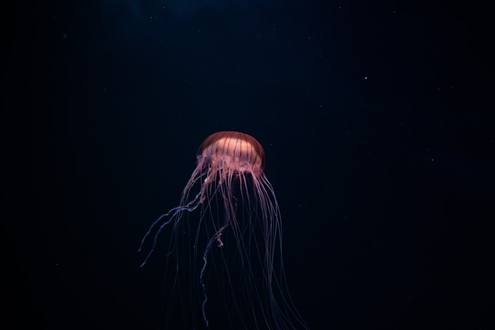 a person standing in a dark room