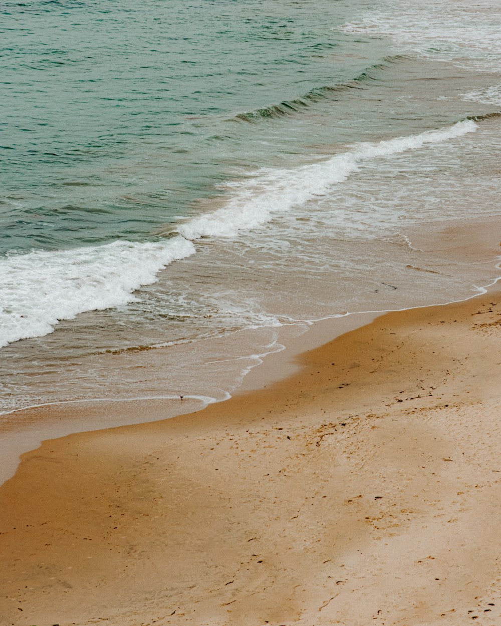 a couple of people walking along a beach next to the ocean