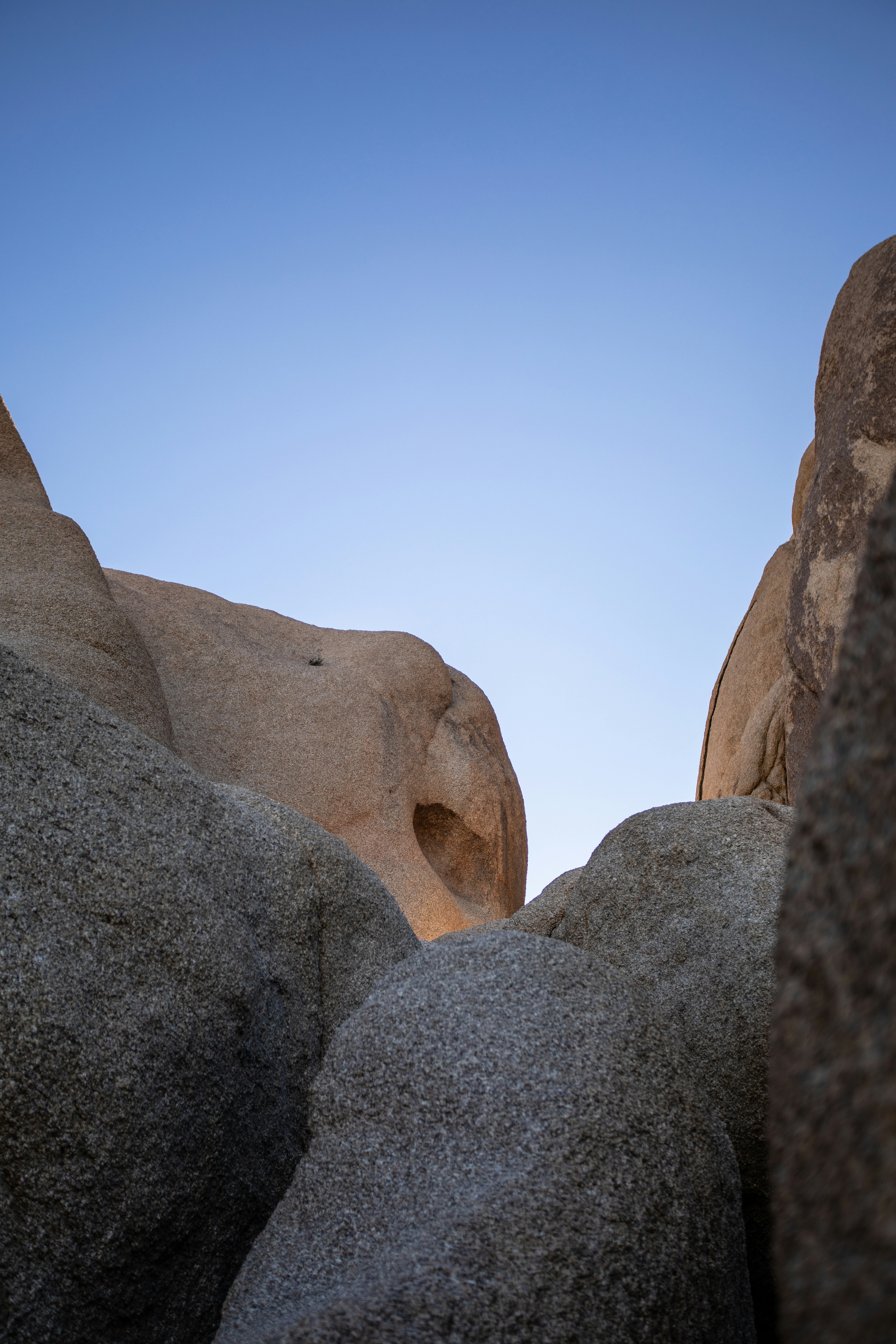 Photo by feliciamontenegro