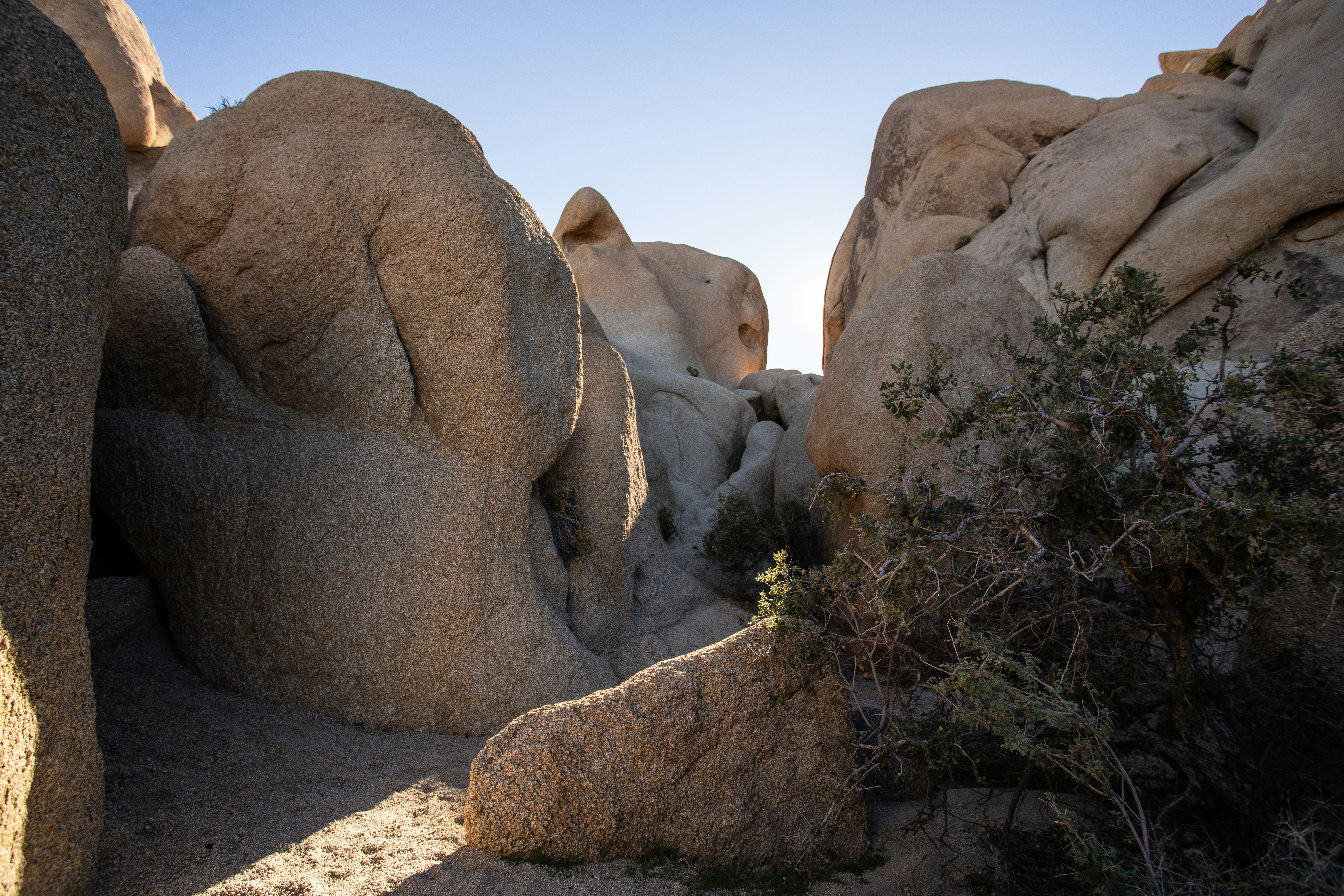 Photo by feliciamontenegro