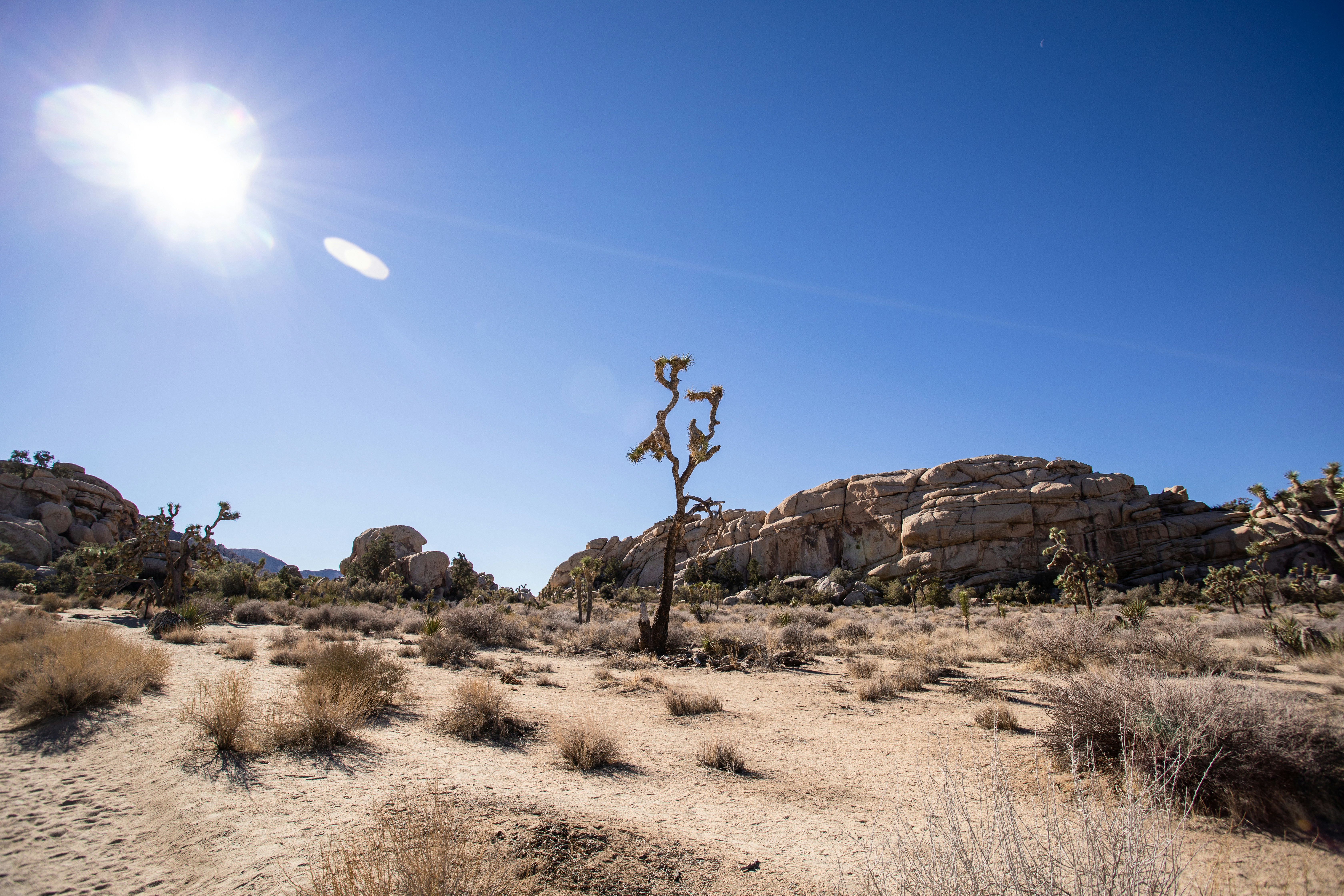 Photo by feliciamontenegro