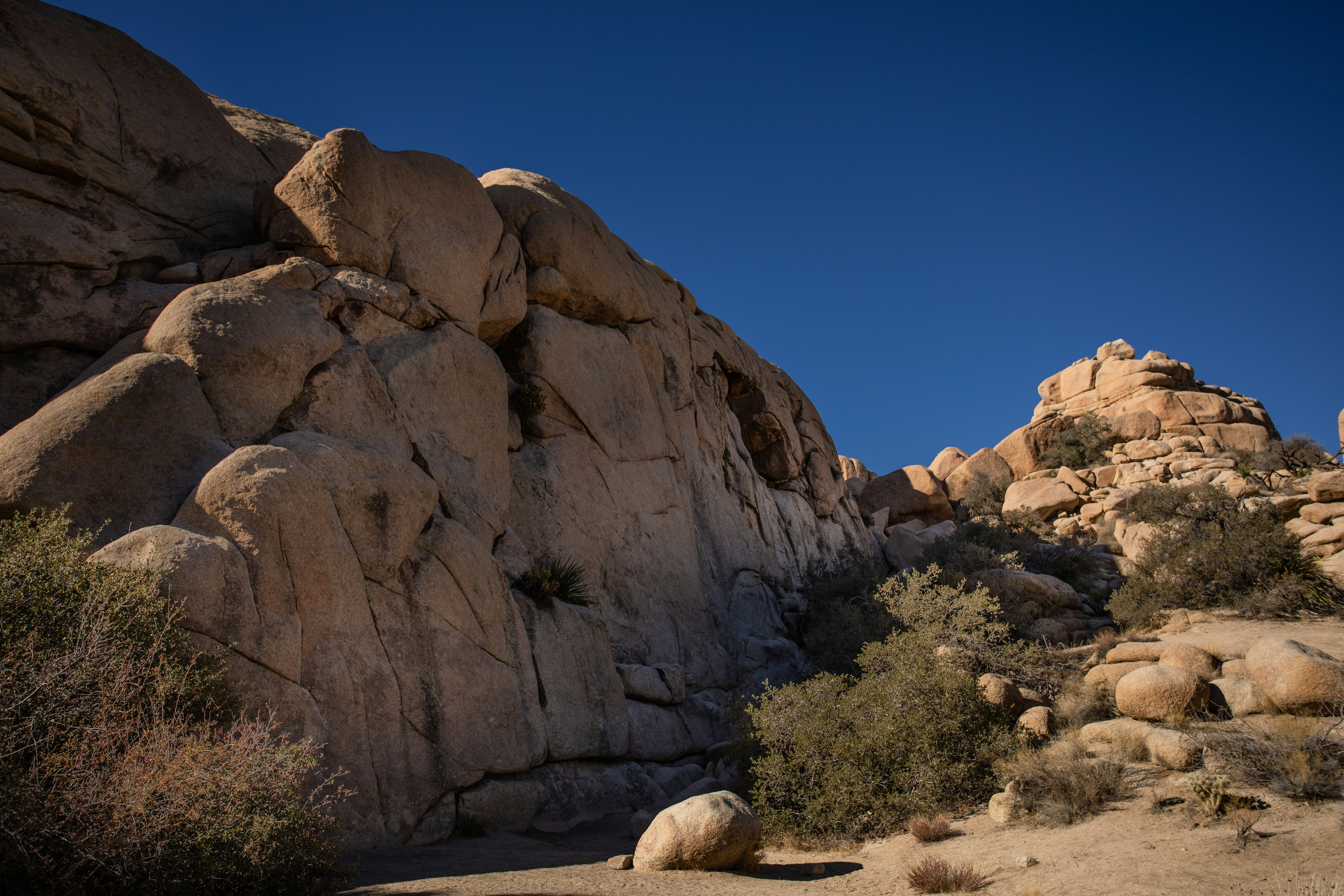 Photo by feliciamontenegro