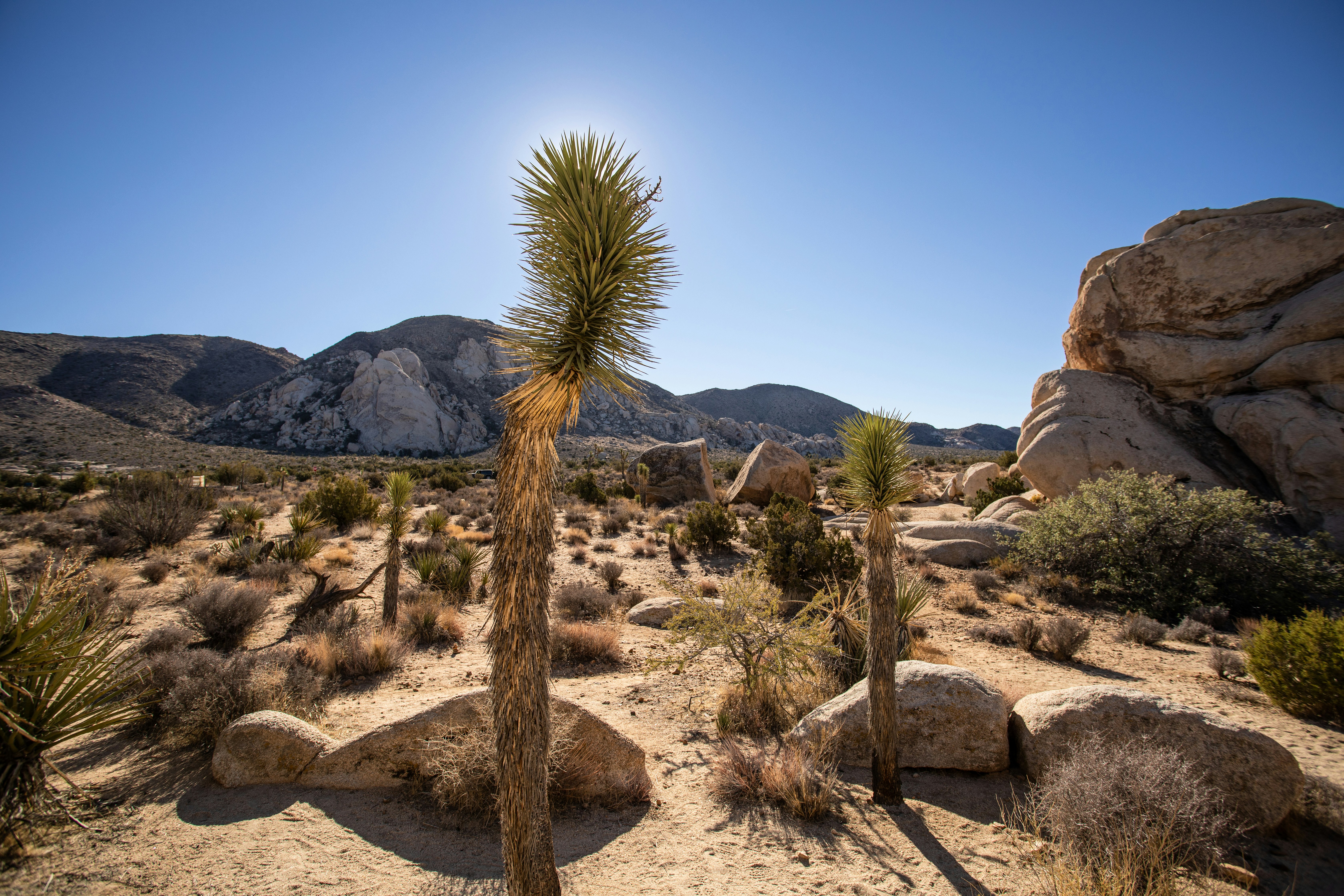 Photo by feliciamontenegro