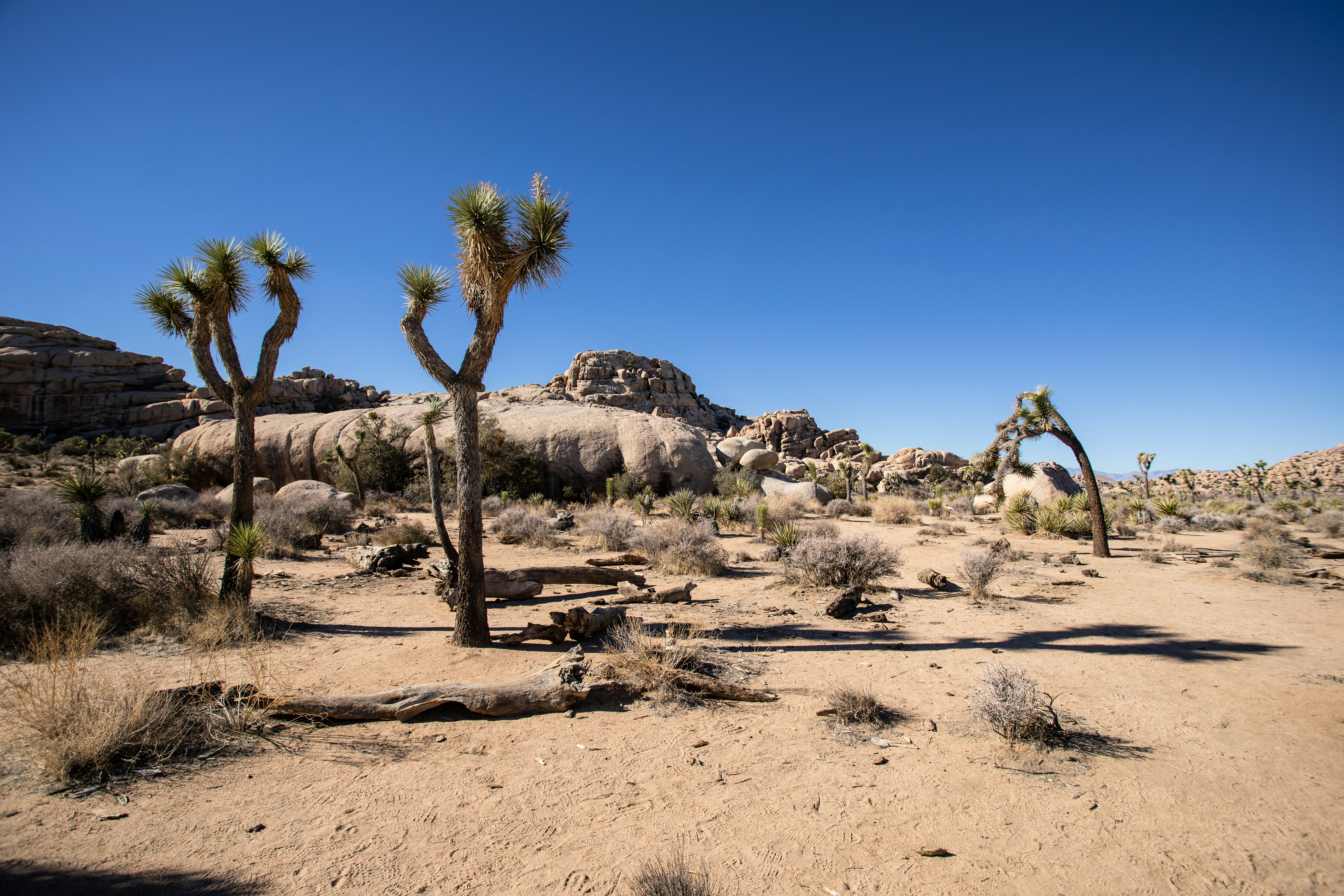 Photo by feliciamontenegro