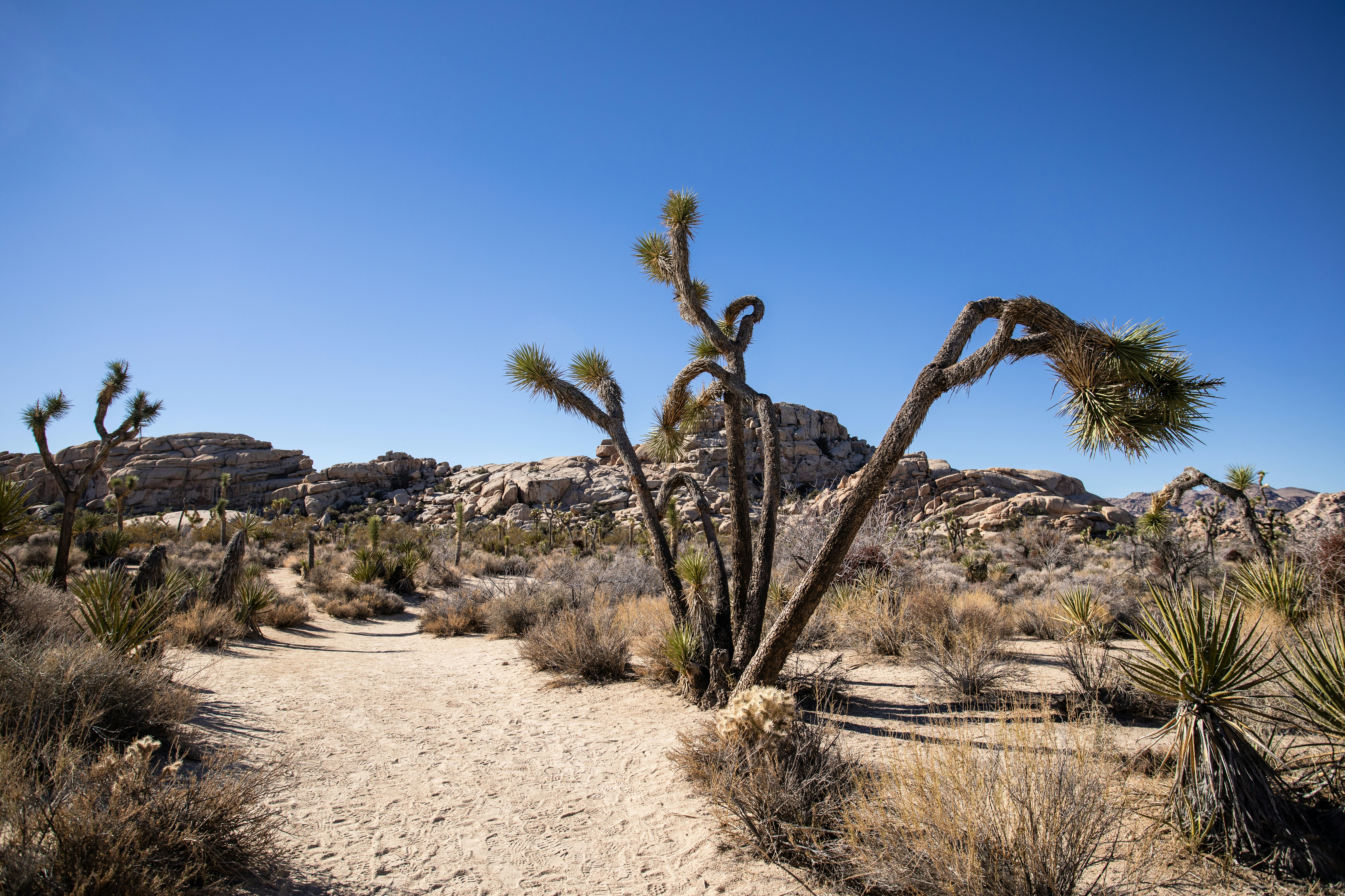 Photo by feliciamontenegro