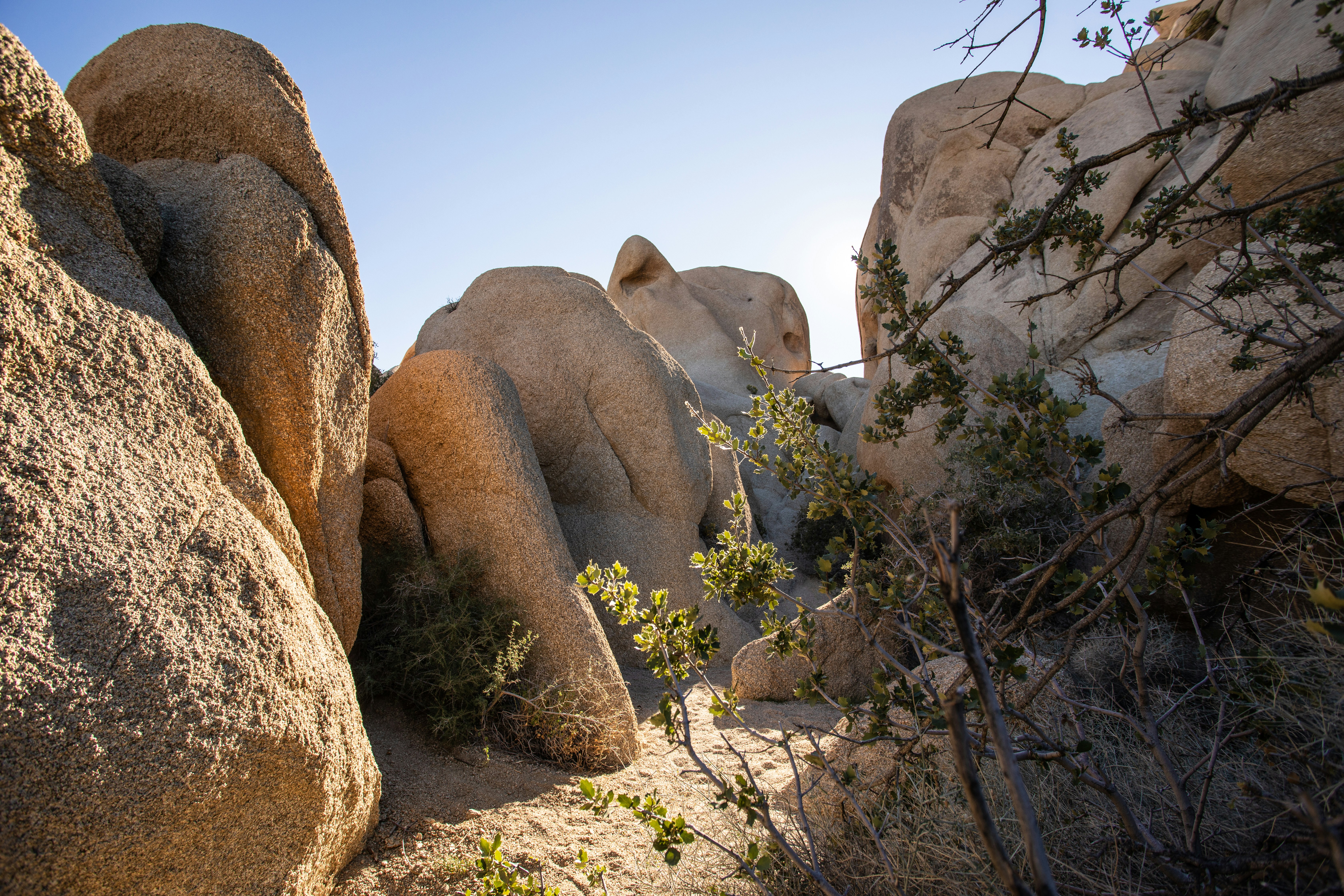 Photo by feliciamontenegro