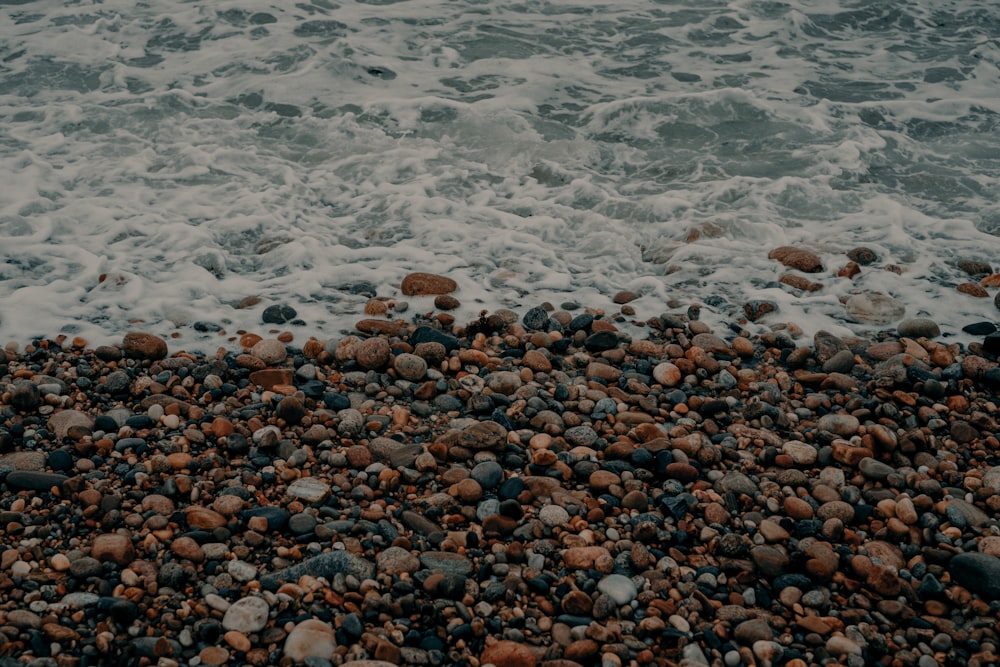 un tas de rochers sur la plage au bord de l’eau