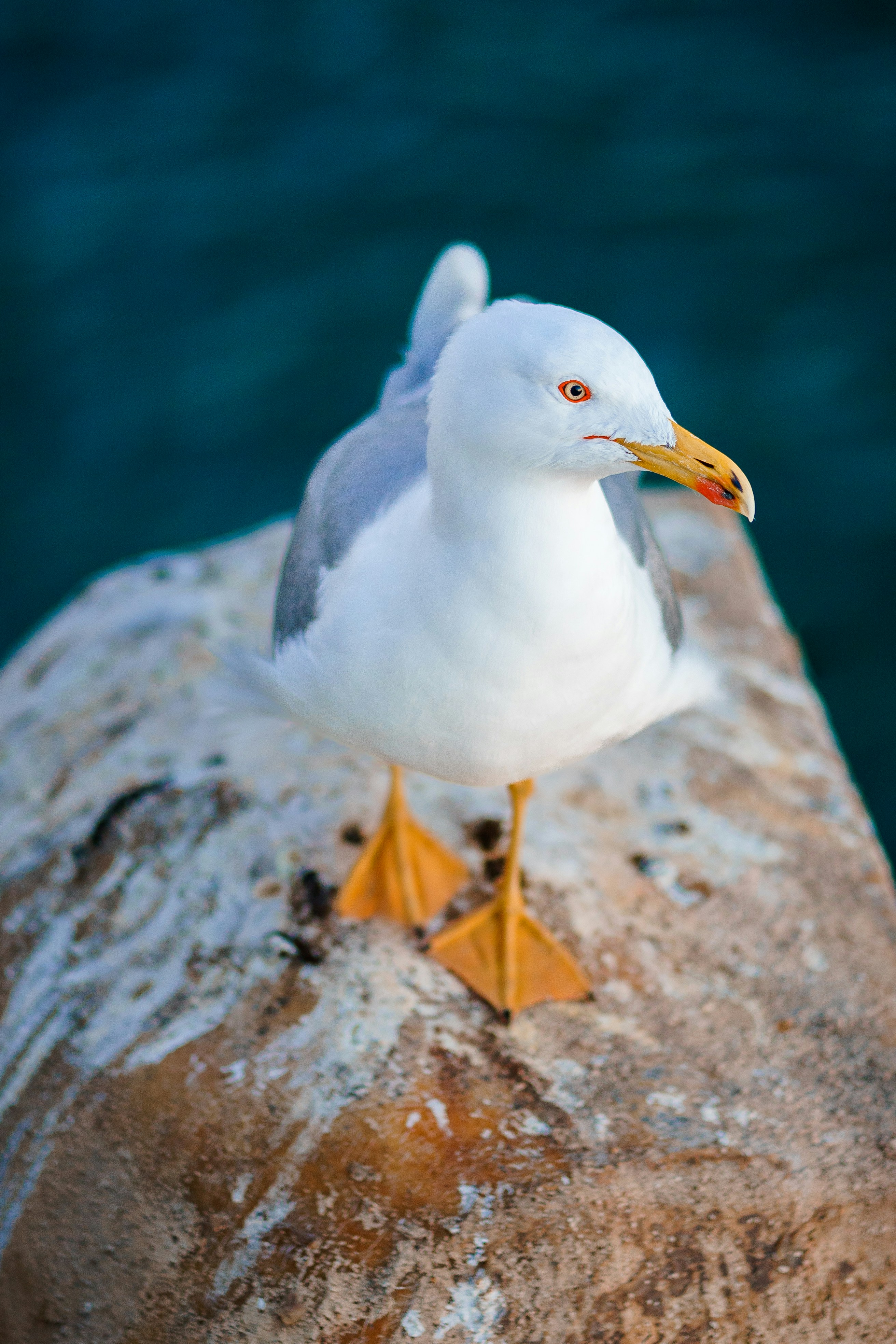 Photo by eugenechystiakov