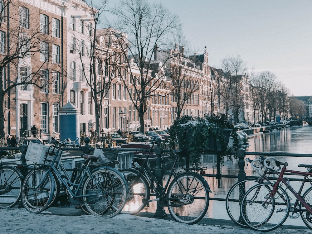 a row of bikes parked next to a river