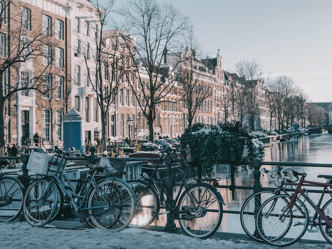 a row of bikes parked next to a river,