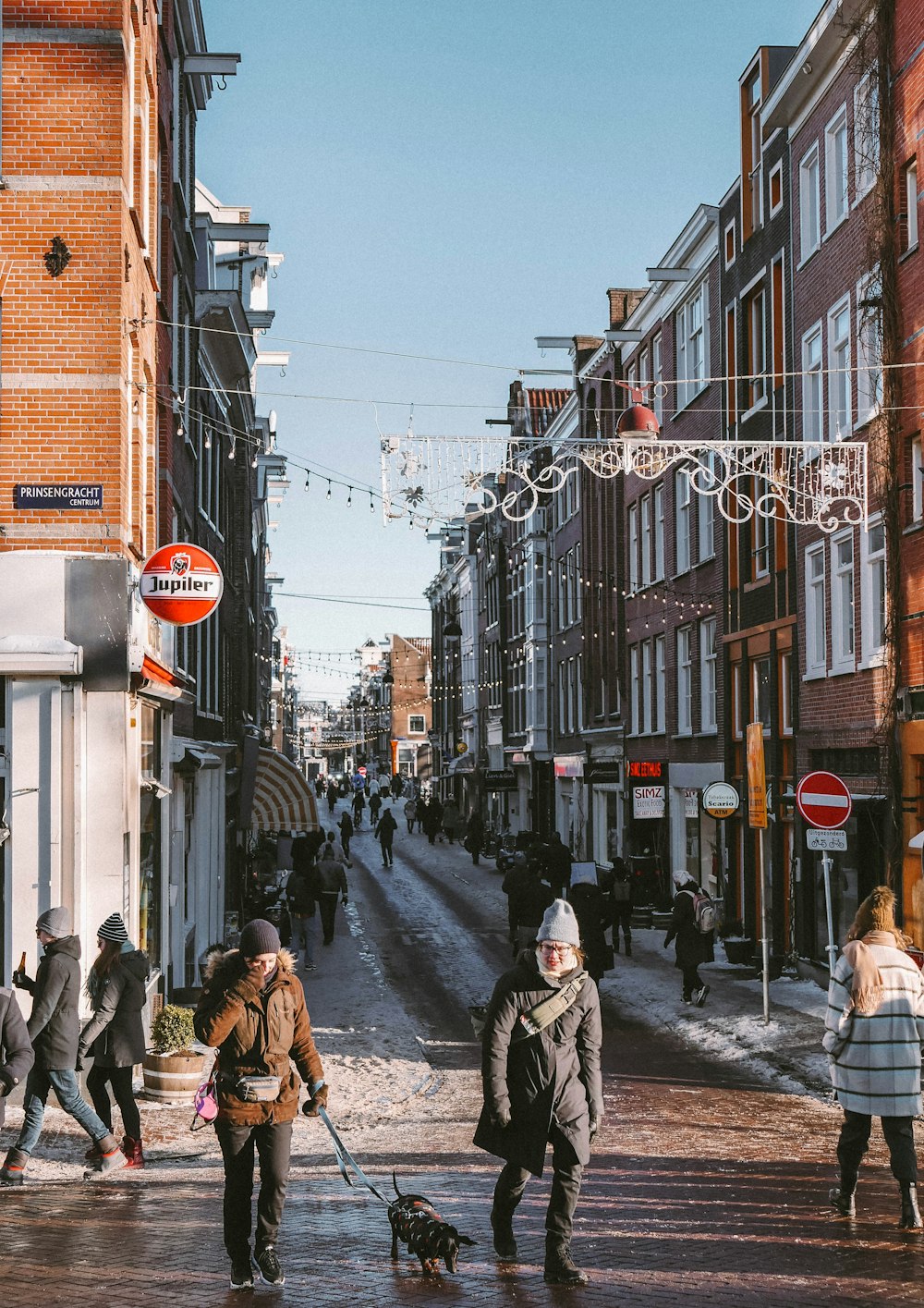 a couple of people walking a dog down a street