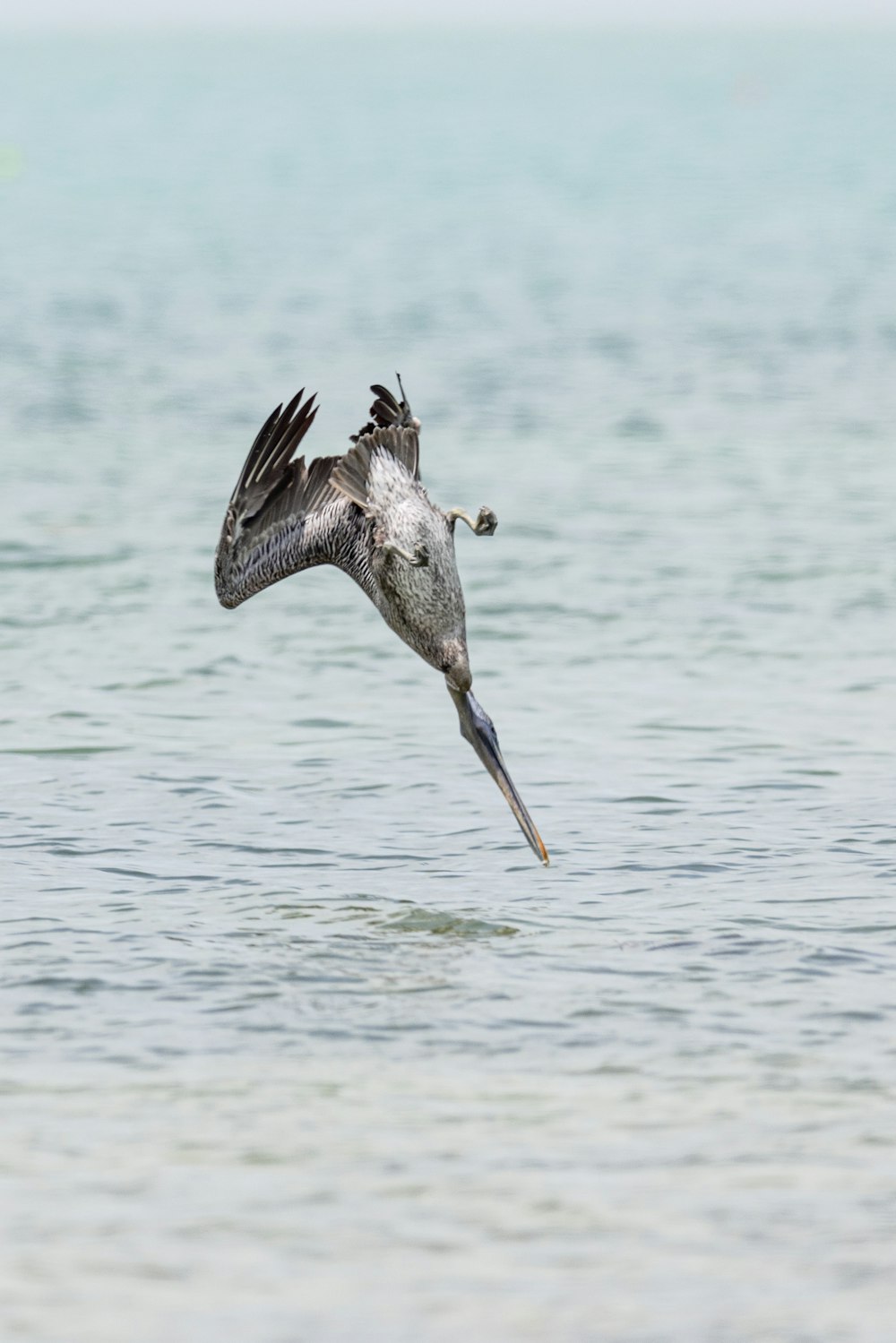 a bird flying over the ocean with a fish in it's mouth