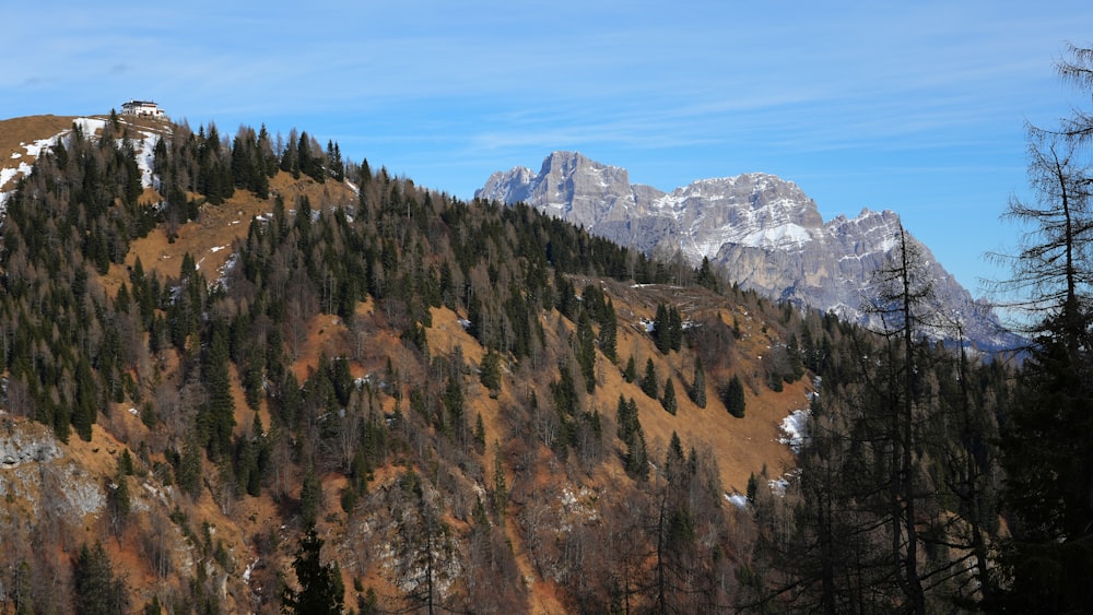 a view of a mountain range with trees and mountains in the background