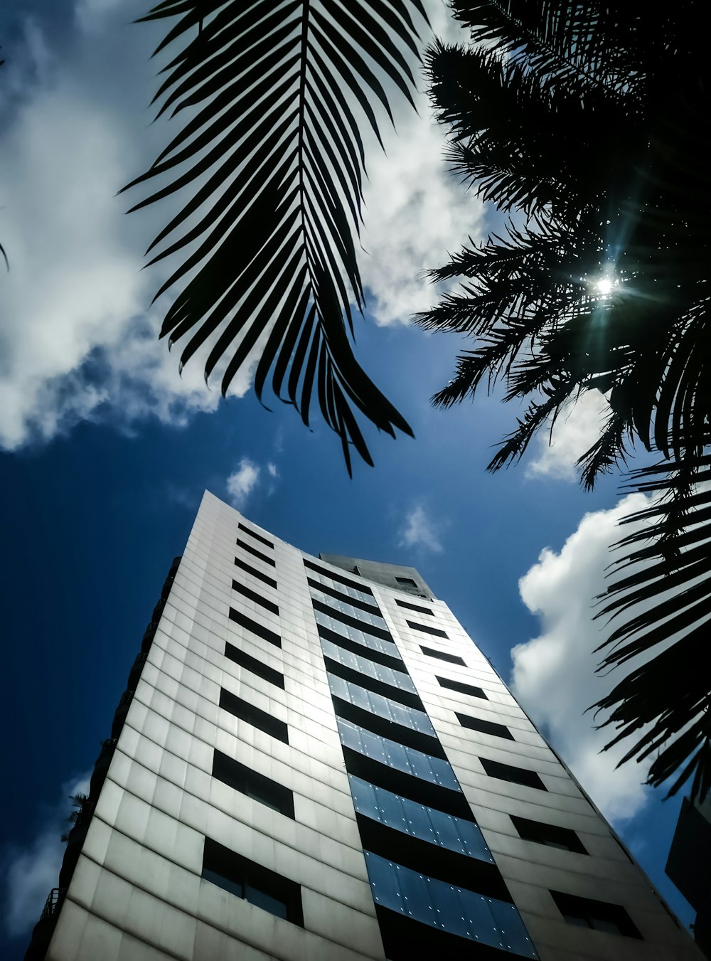 a tall building with palm trees in front of it