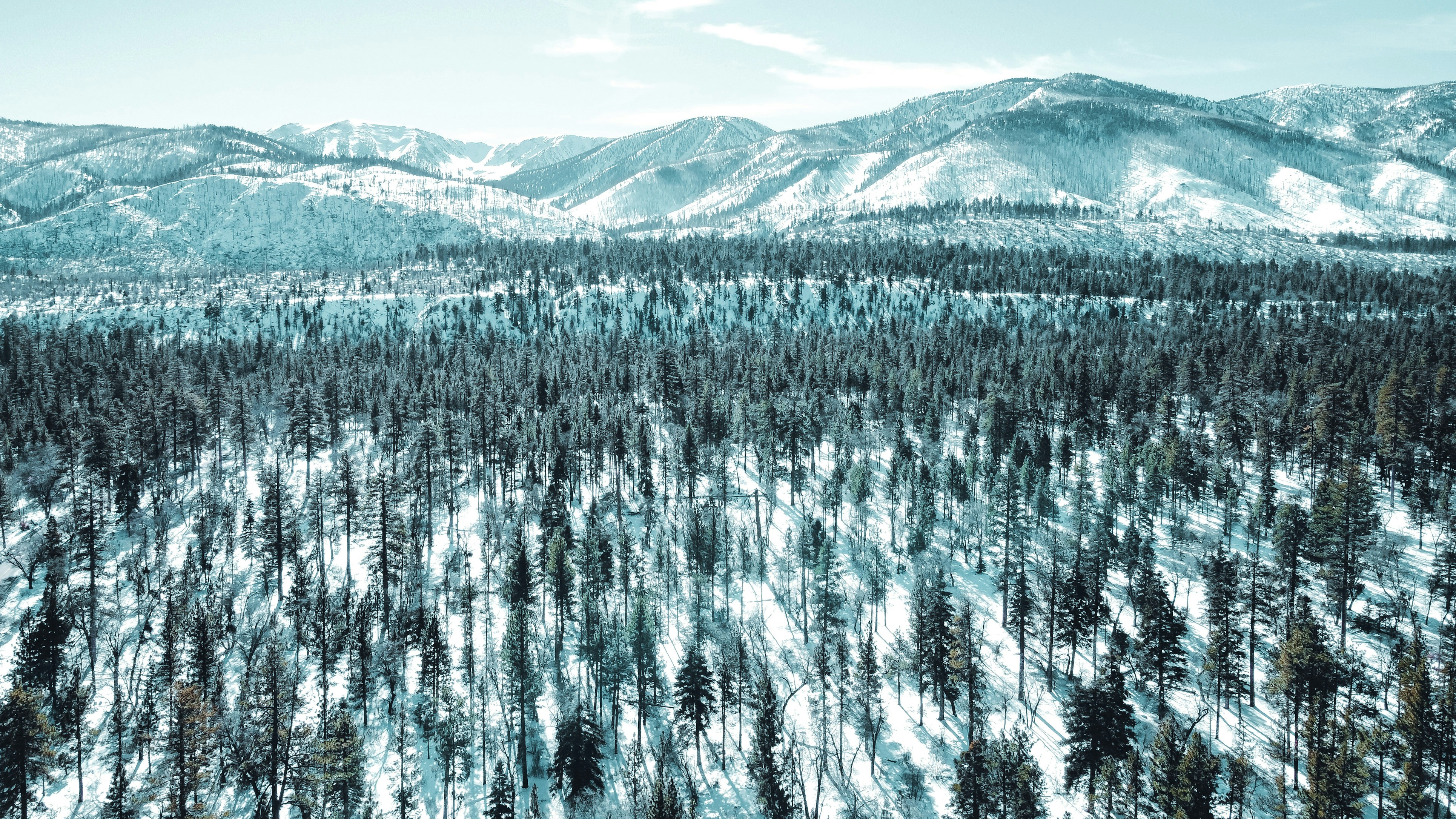 Snowy mountains
