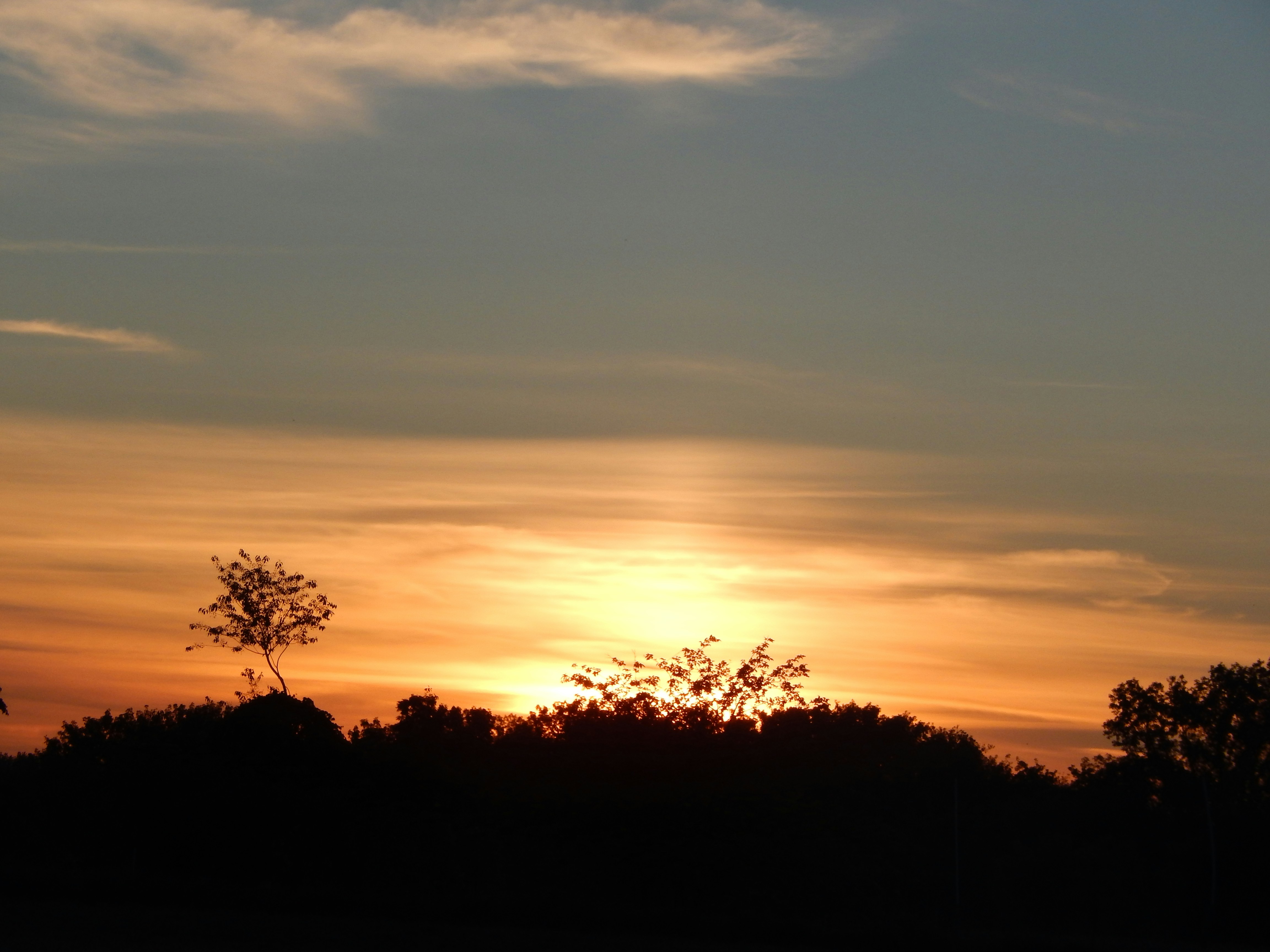 Photo by scarlettweiss